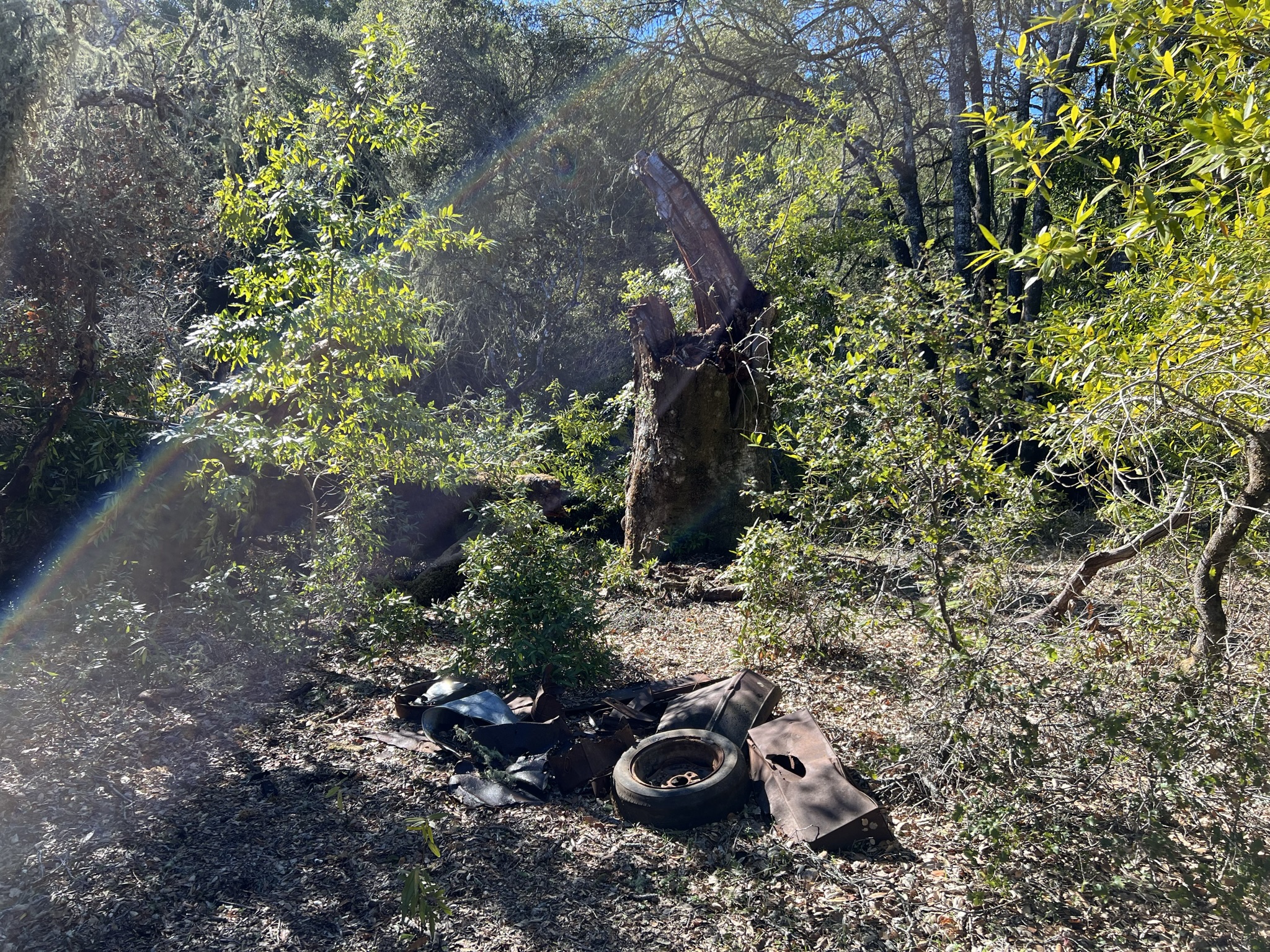 这些废弃的汽车配件都不知道是哪里来的