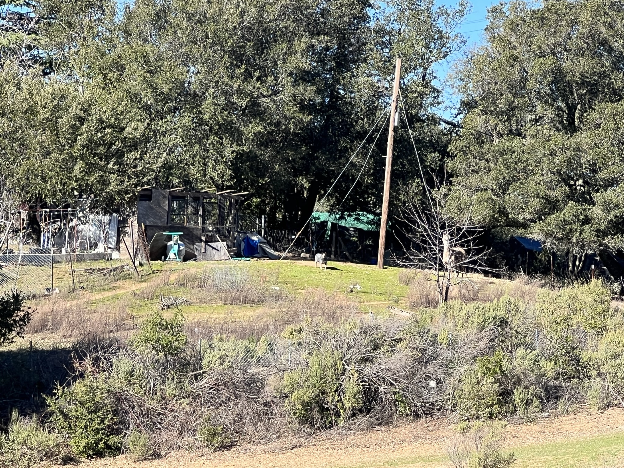 对面民居的狗隔着两百米就看到了我，冲着我吠