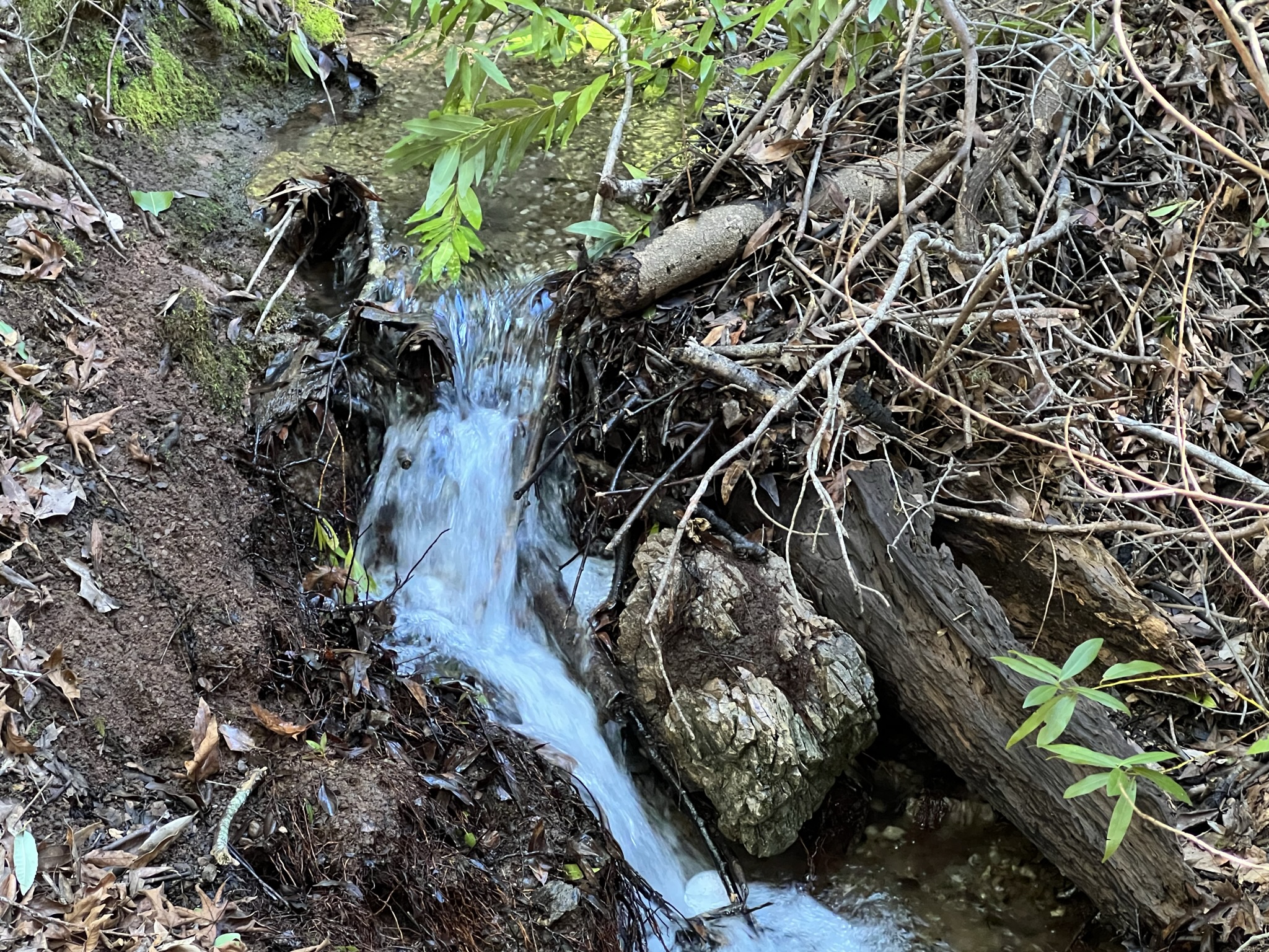 台风带来的降水滋润了常年干旱的土地