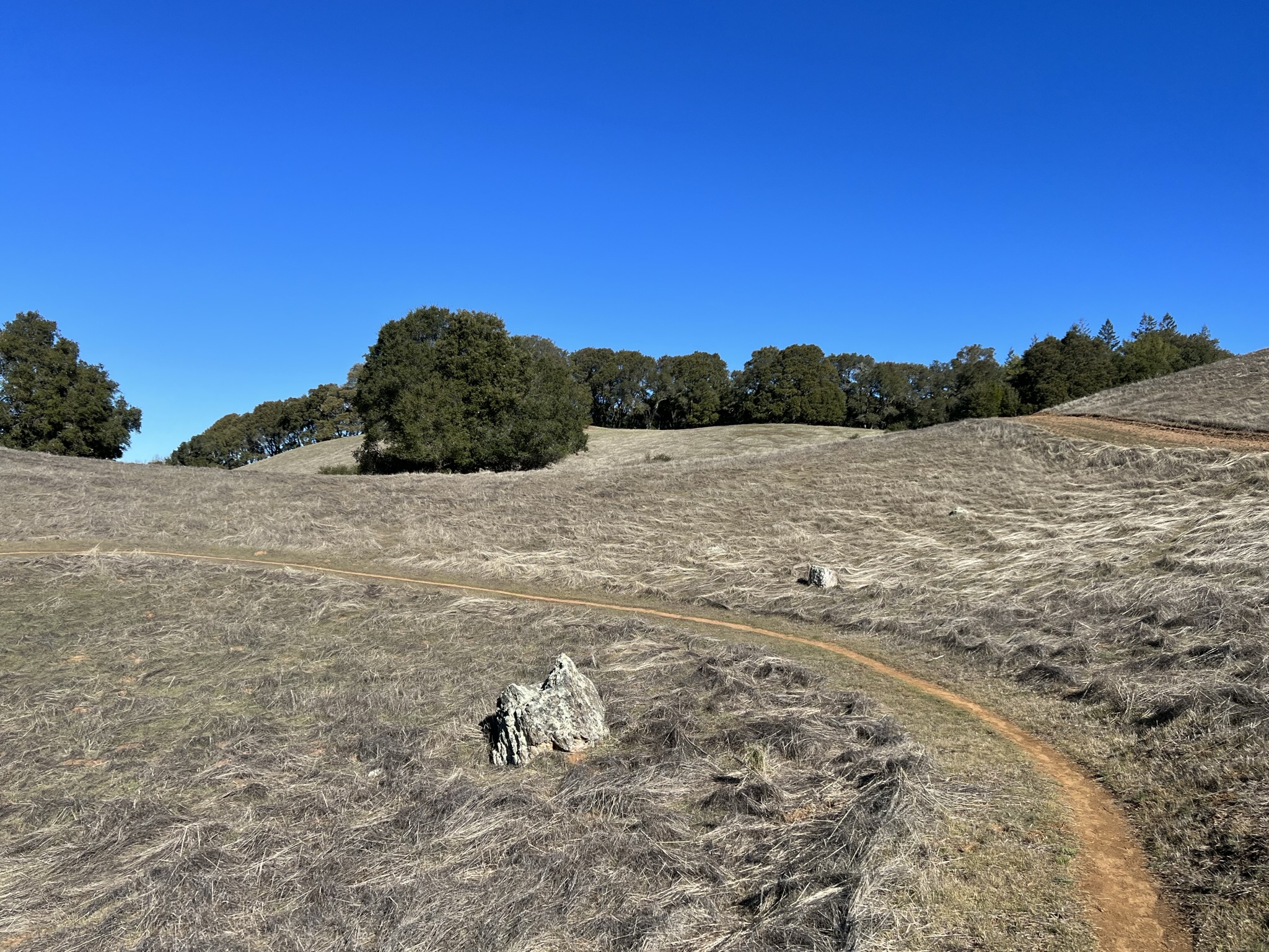 继续沿着Page Mill Trail往前走