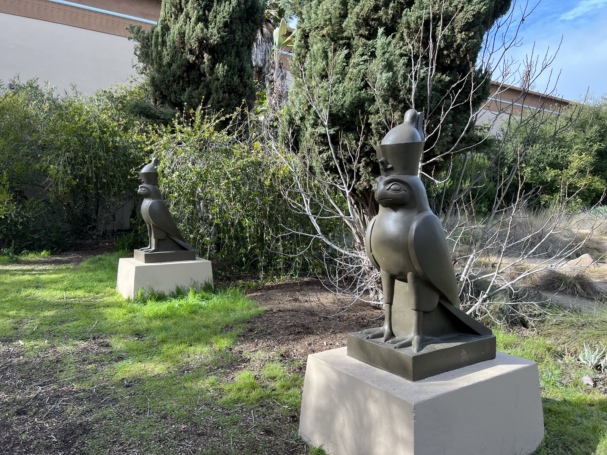 花园里有这么一对鸟