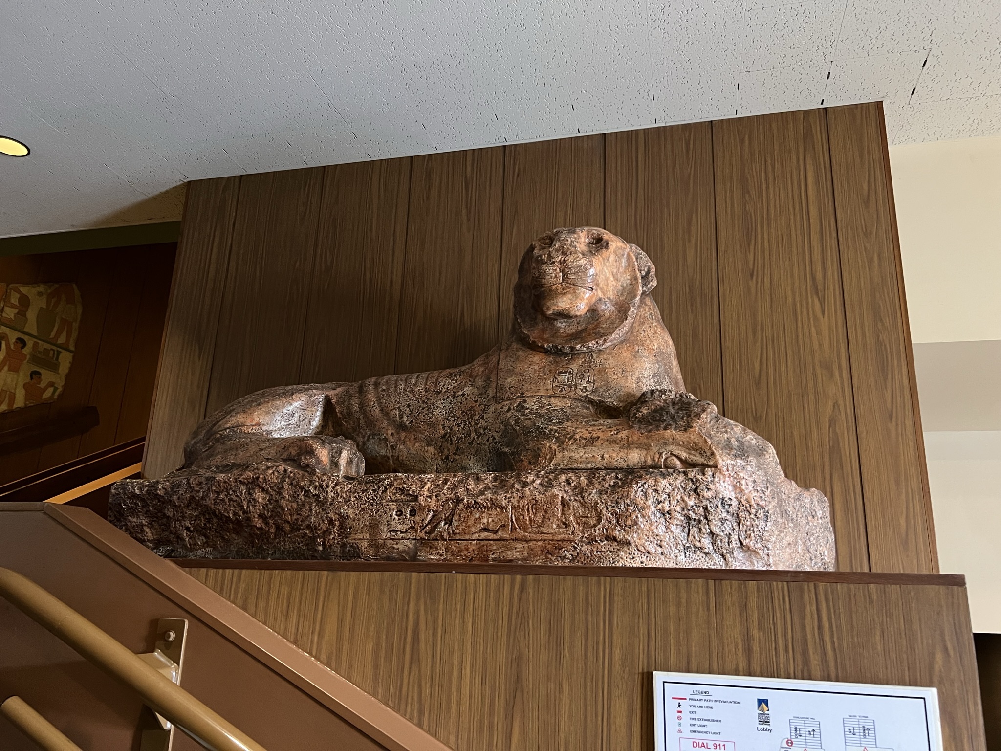 埃及没有老虎吧？