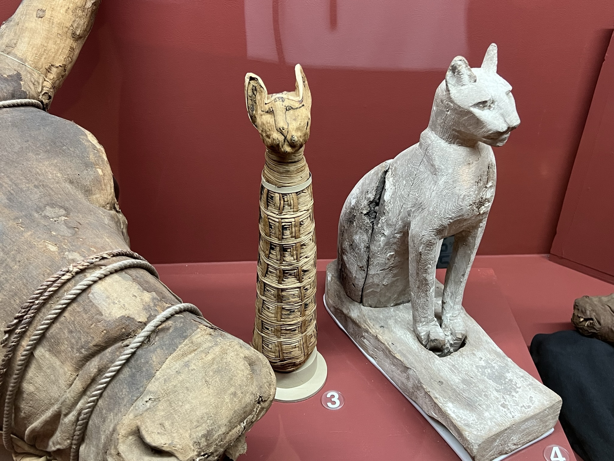 中间这个是个猫的木乃伊，虽然它真的看上去很瘦，这个眼睛啥的都是陪葬时画的不是恶搞