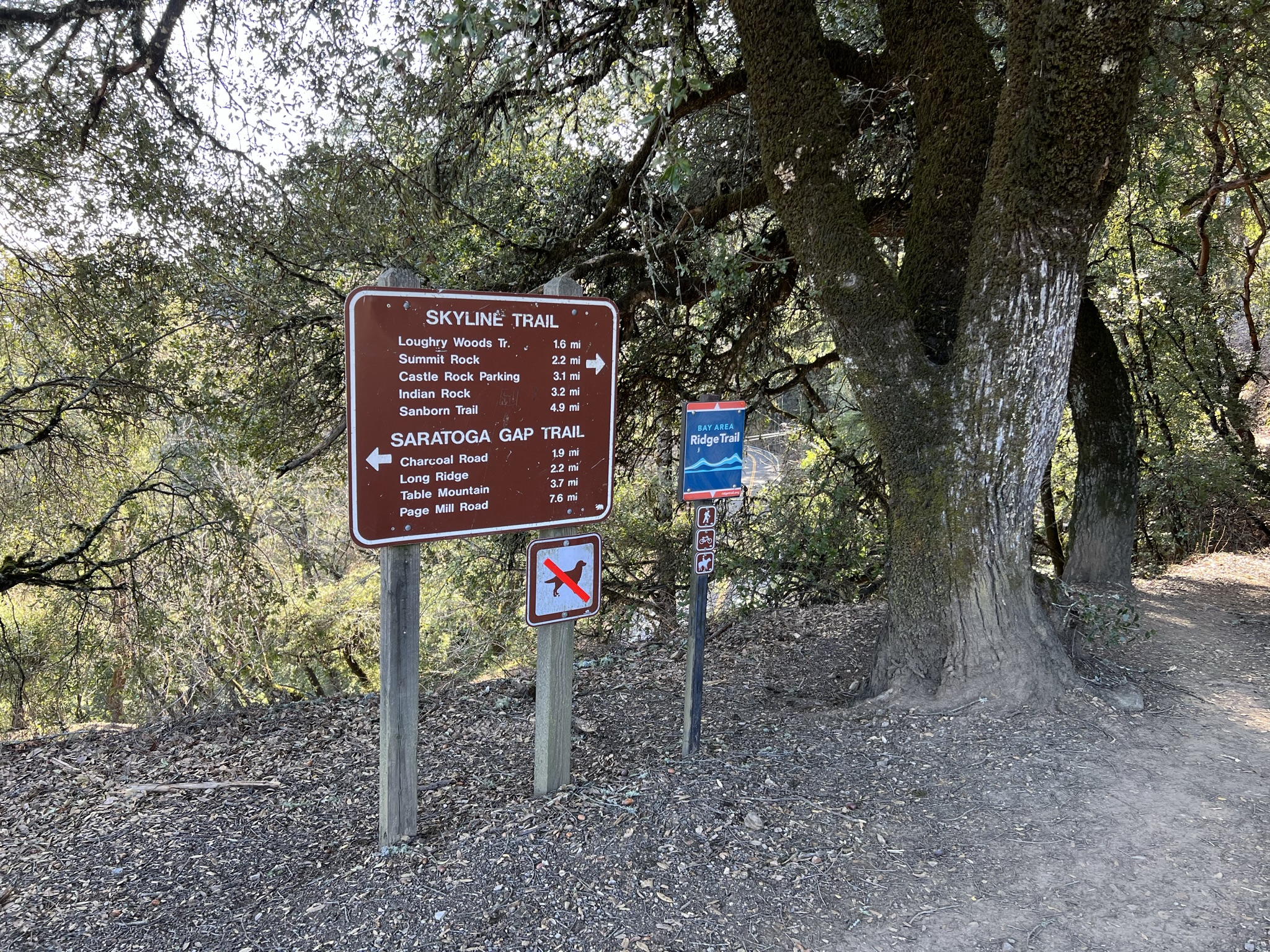 从 Saratoga Gap Parking 出发