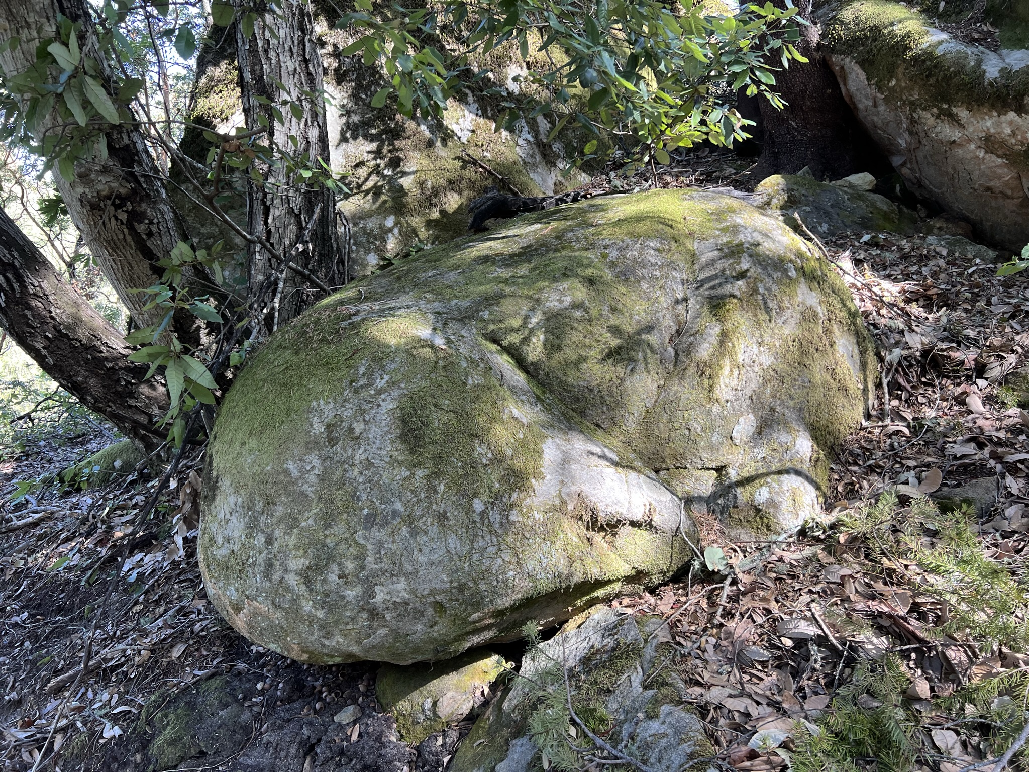为什么山上的岩石有圆的？