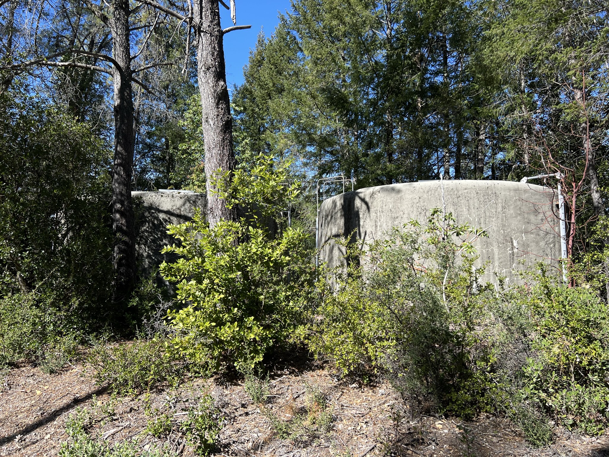 Castle Rock 露营地的水罐，但可惜已经都坏了