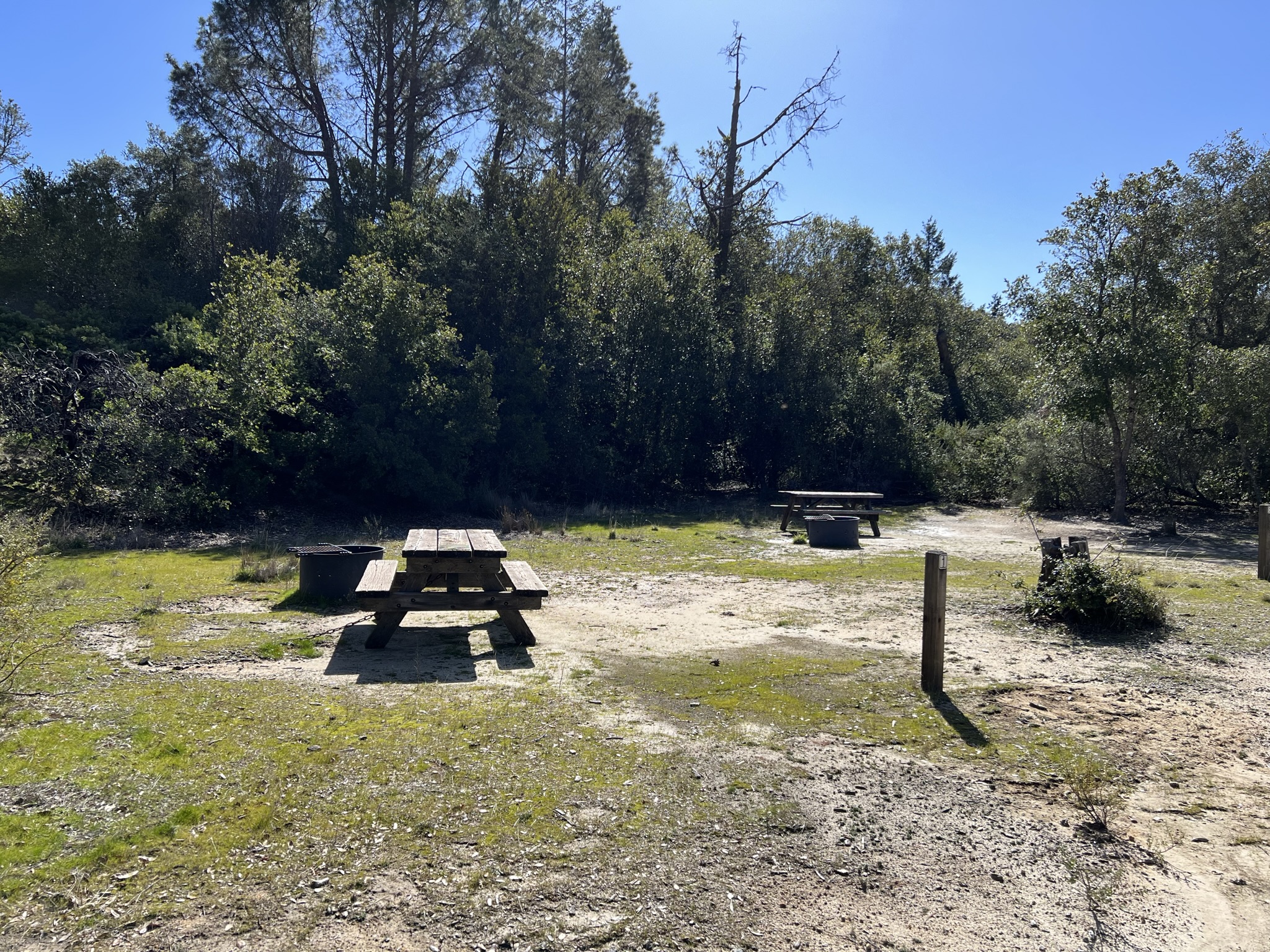 露营地里可以烧烤