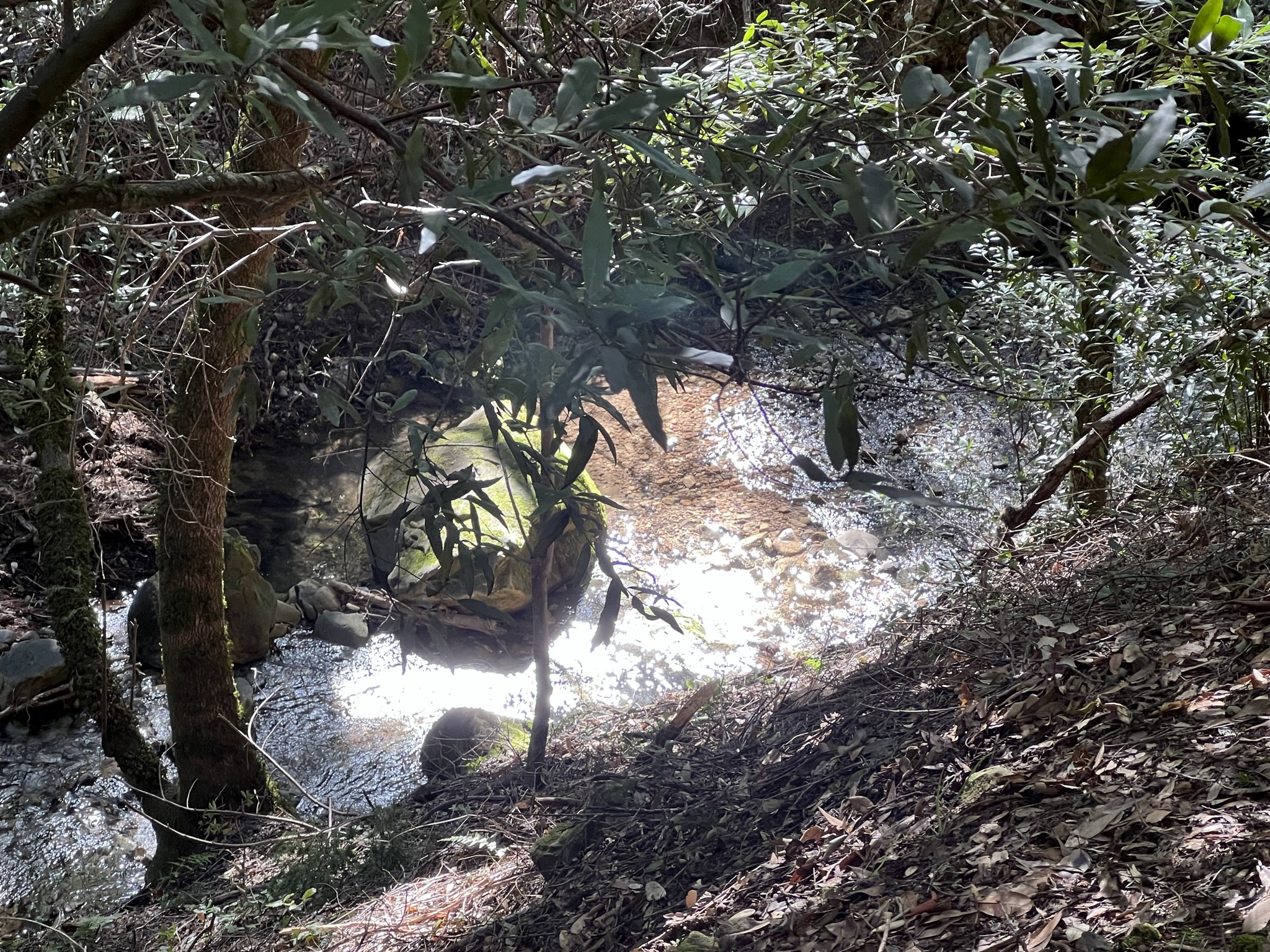 水面反射出来的光辉