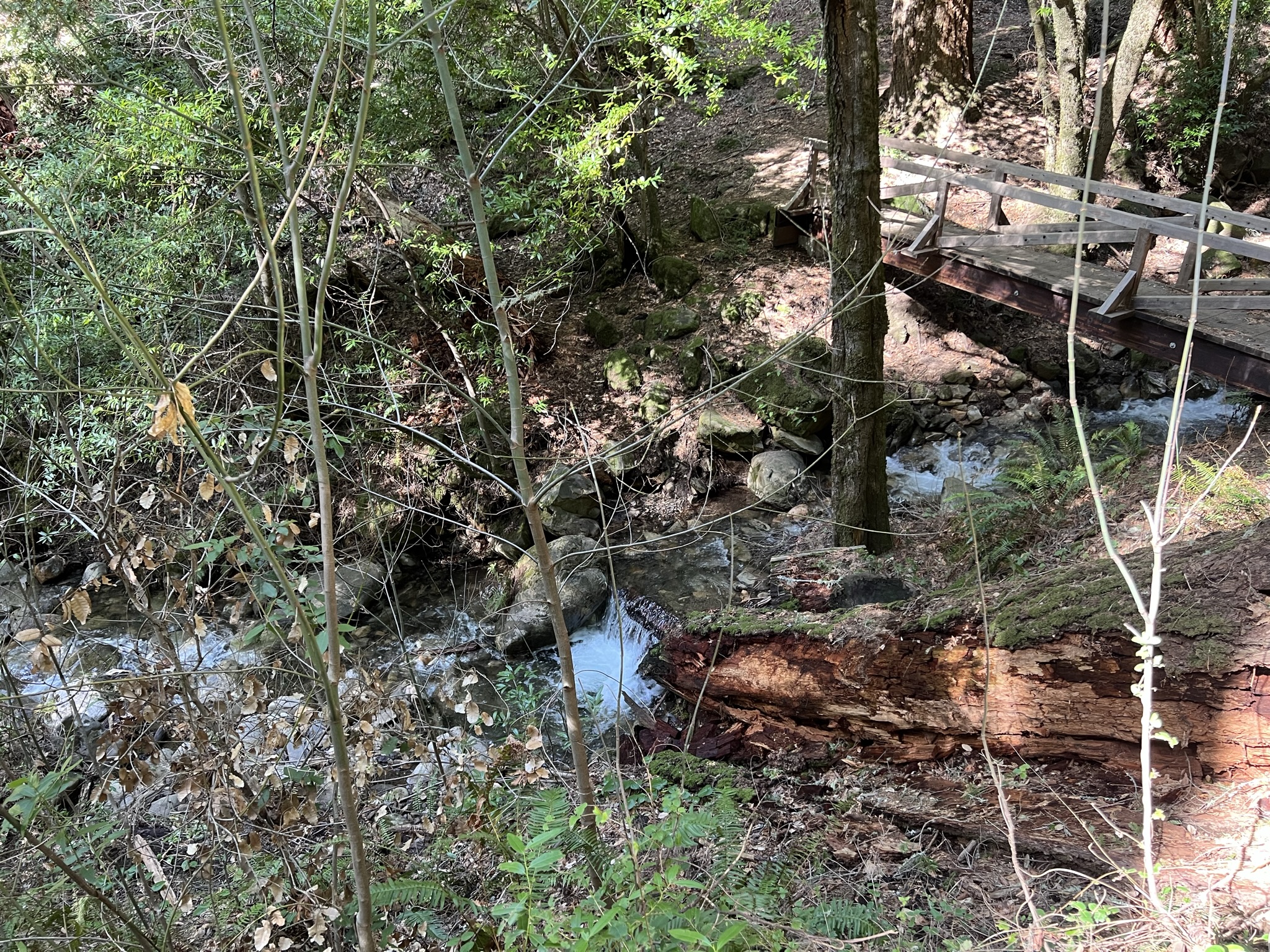 这些小溪在地图上都没有