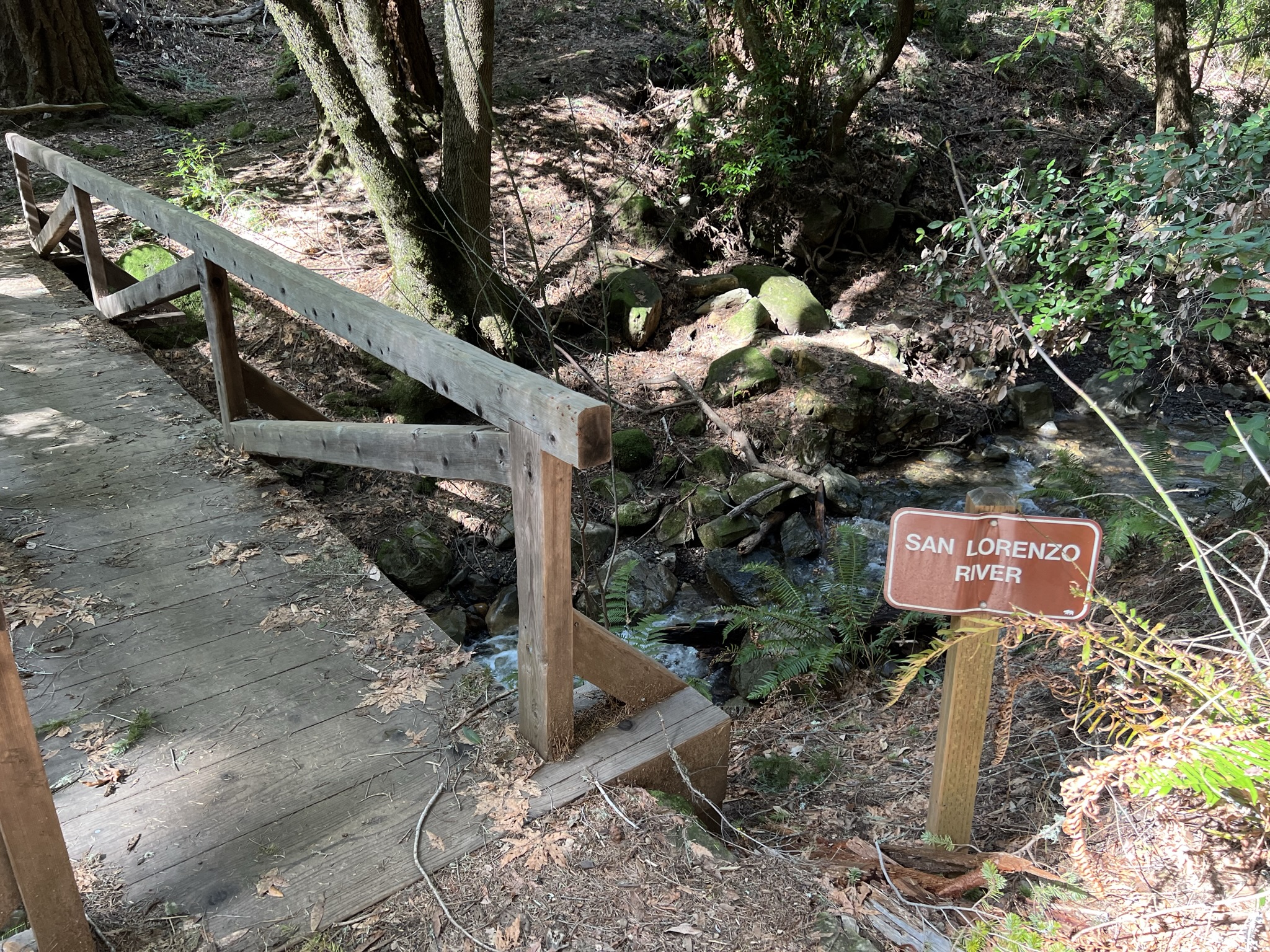 这条小溪叫 San Lorenzo River