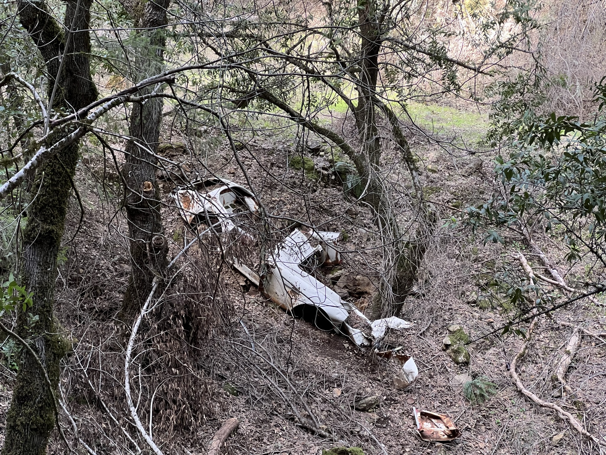 若干年前因为飙车翻下山的跑车