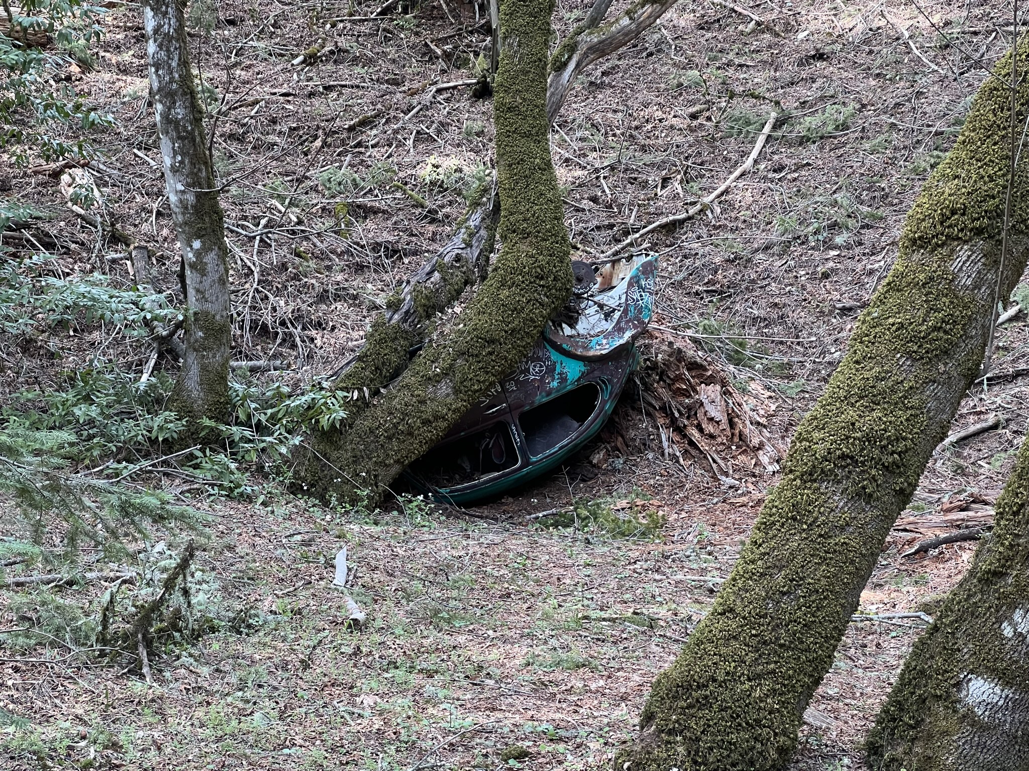 上次走这条路也见过这辆车