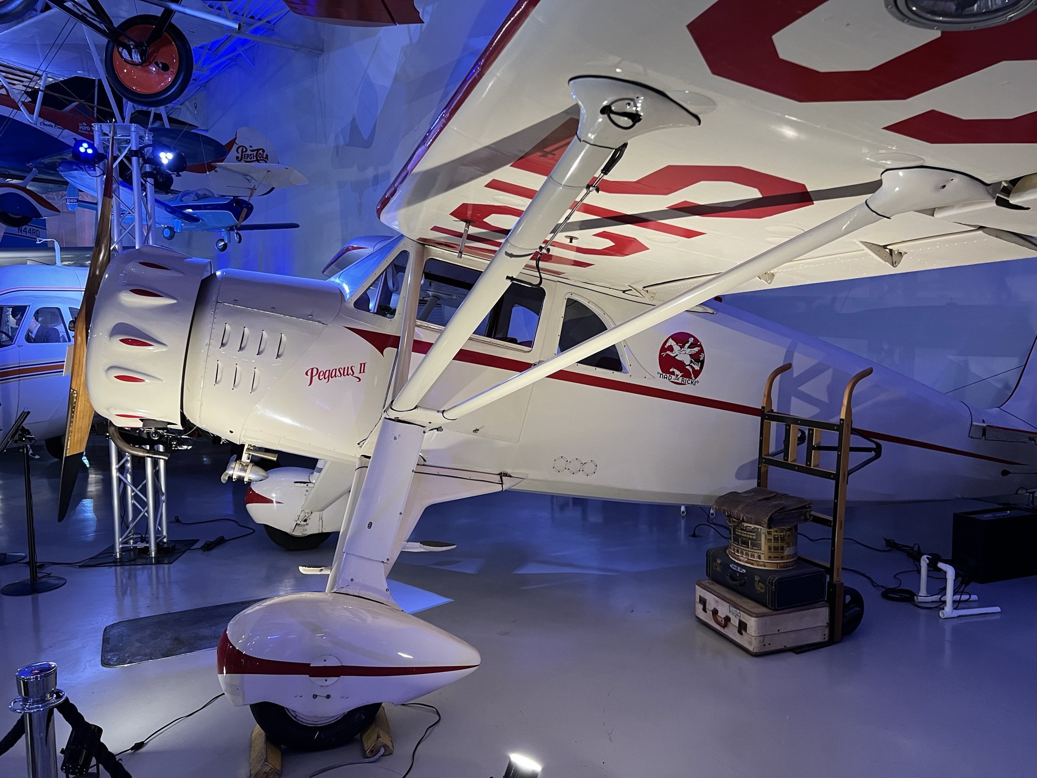 外国人很喜欢“Pegasus”