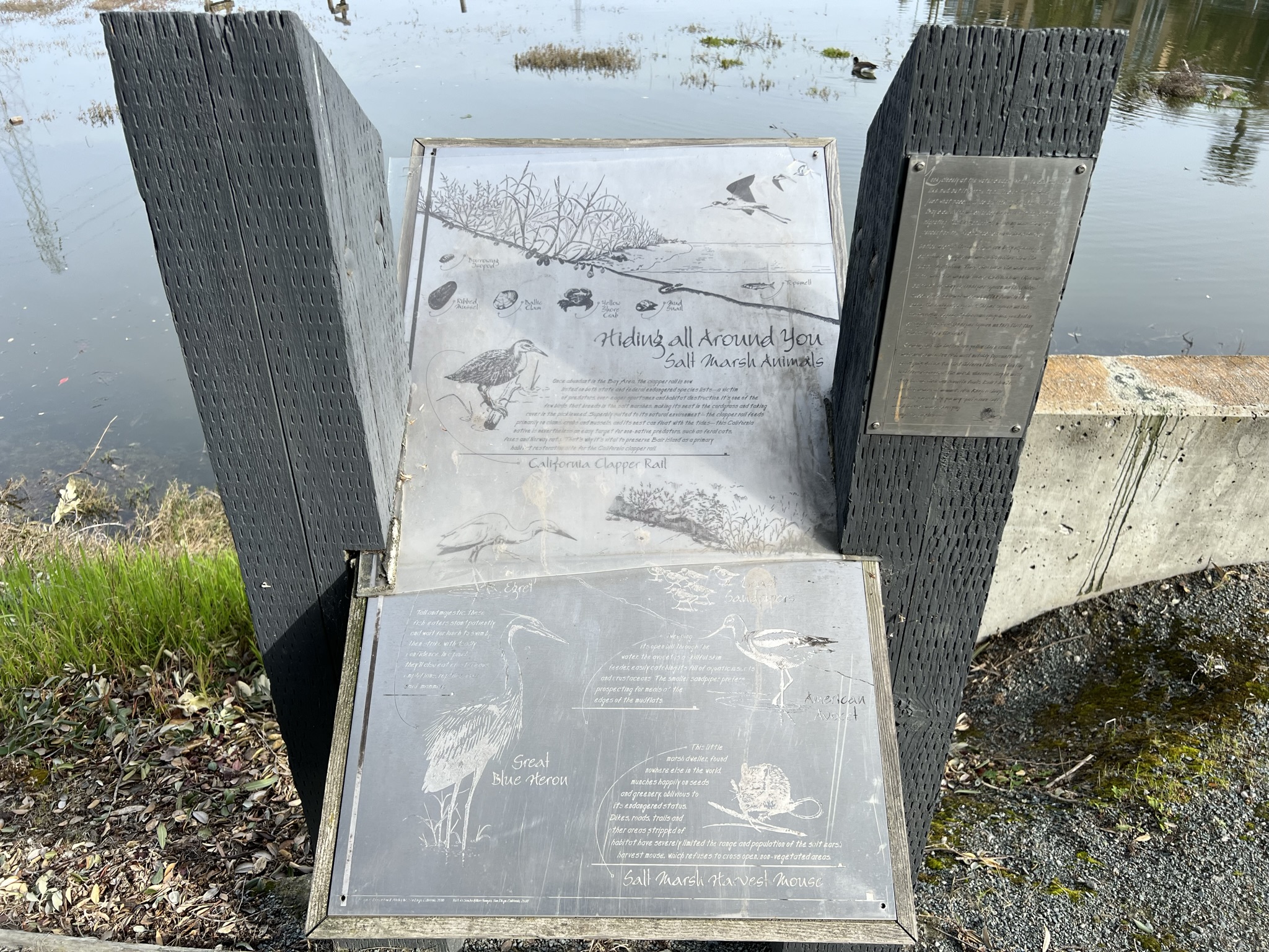 在这里生活的动物们