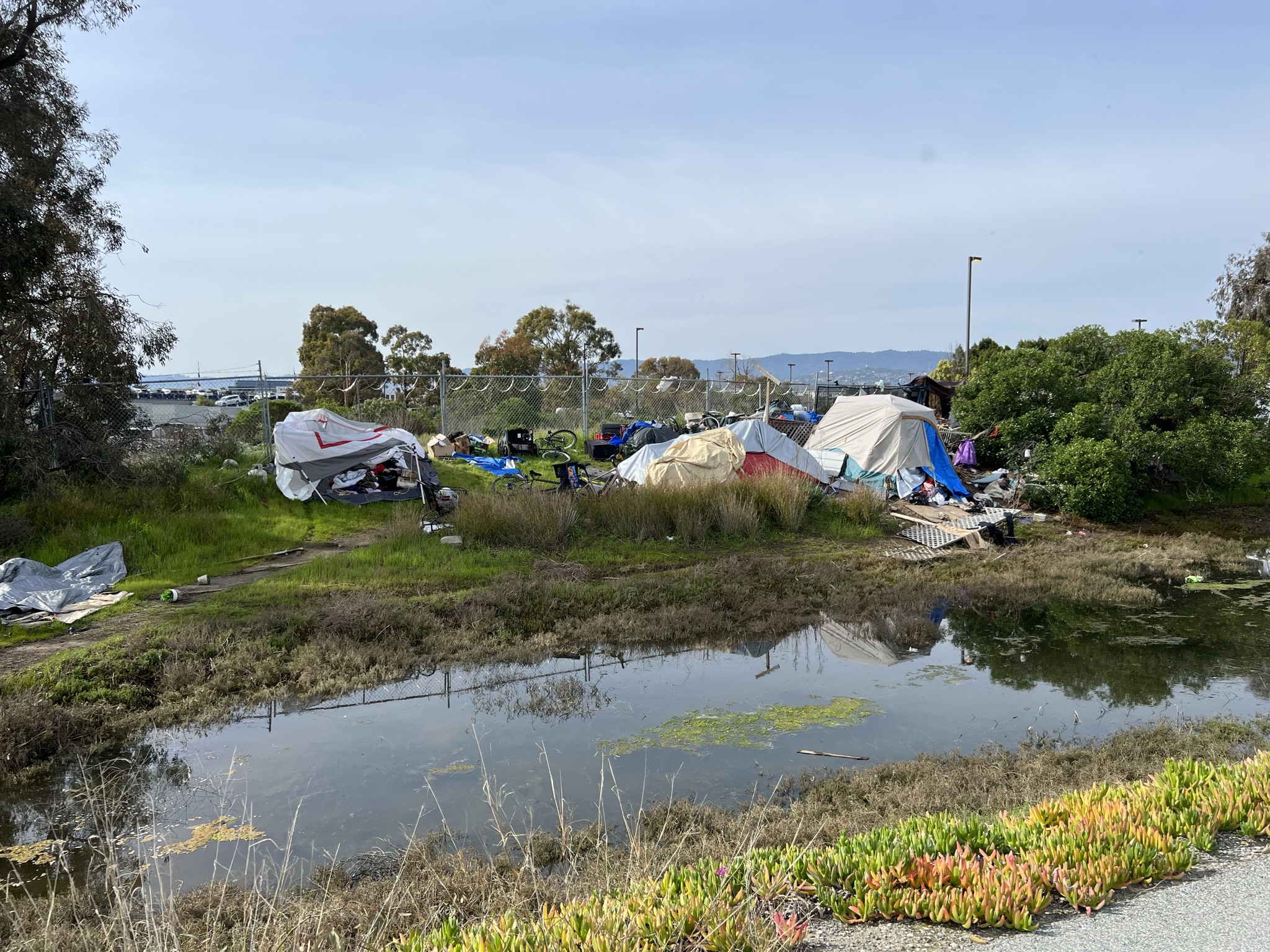 这边也有不少街友居住