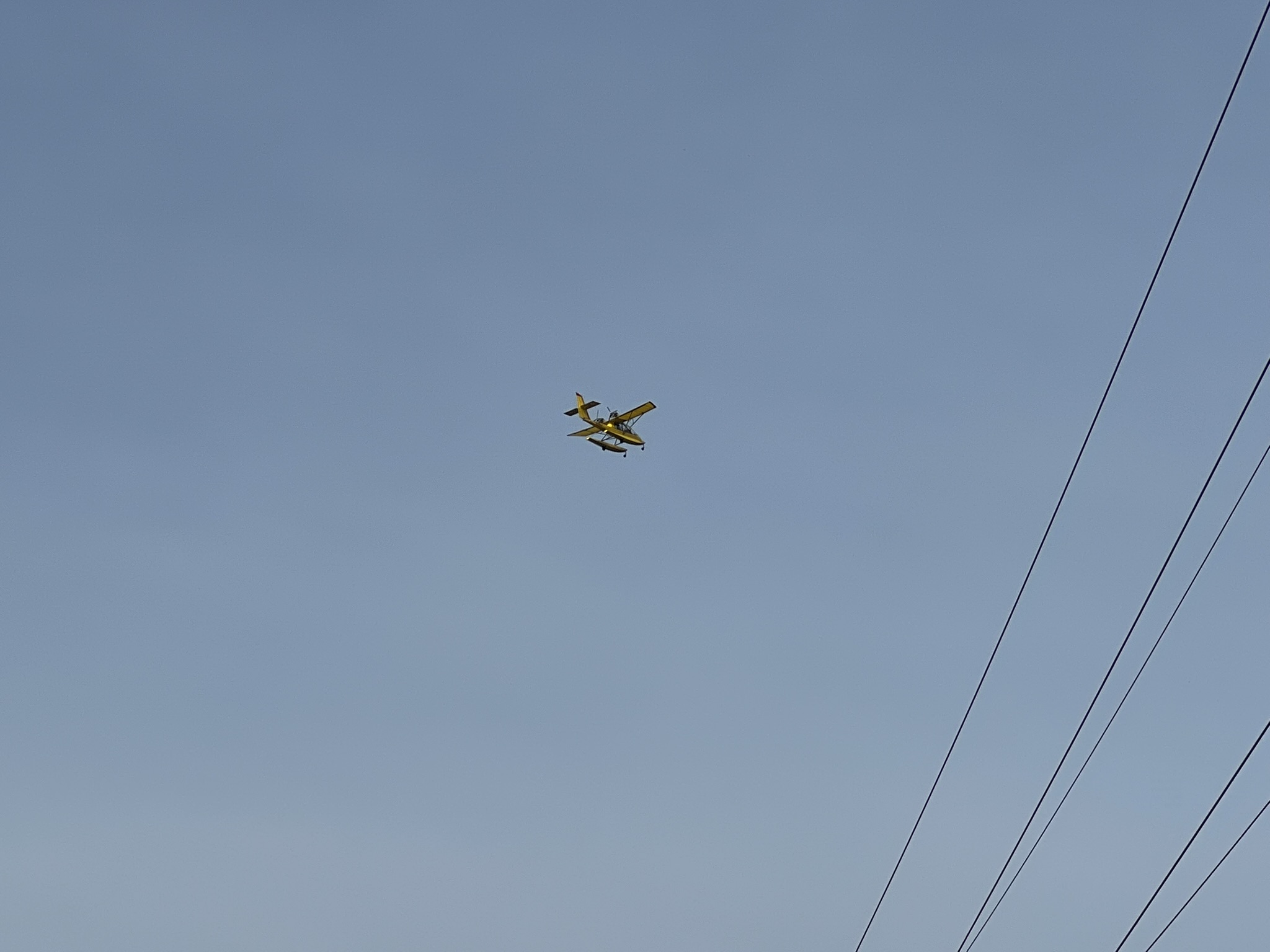 能在水上降落的飞机