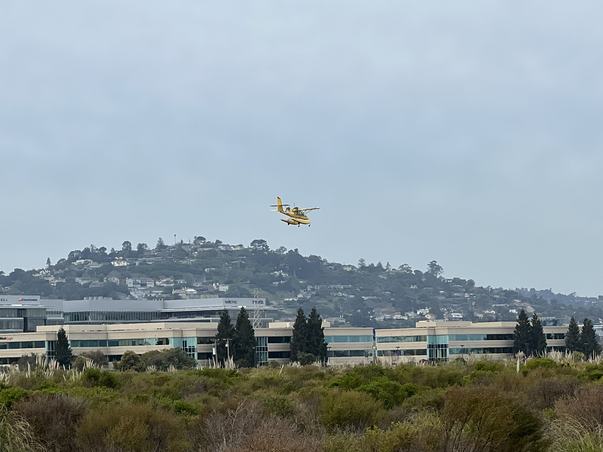之前看到过的飞机回来降落了