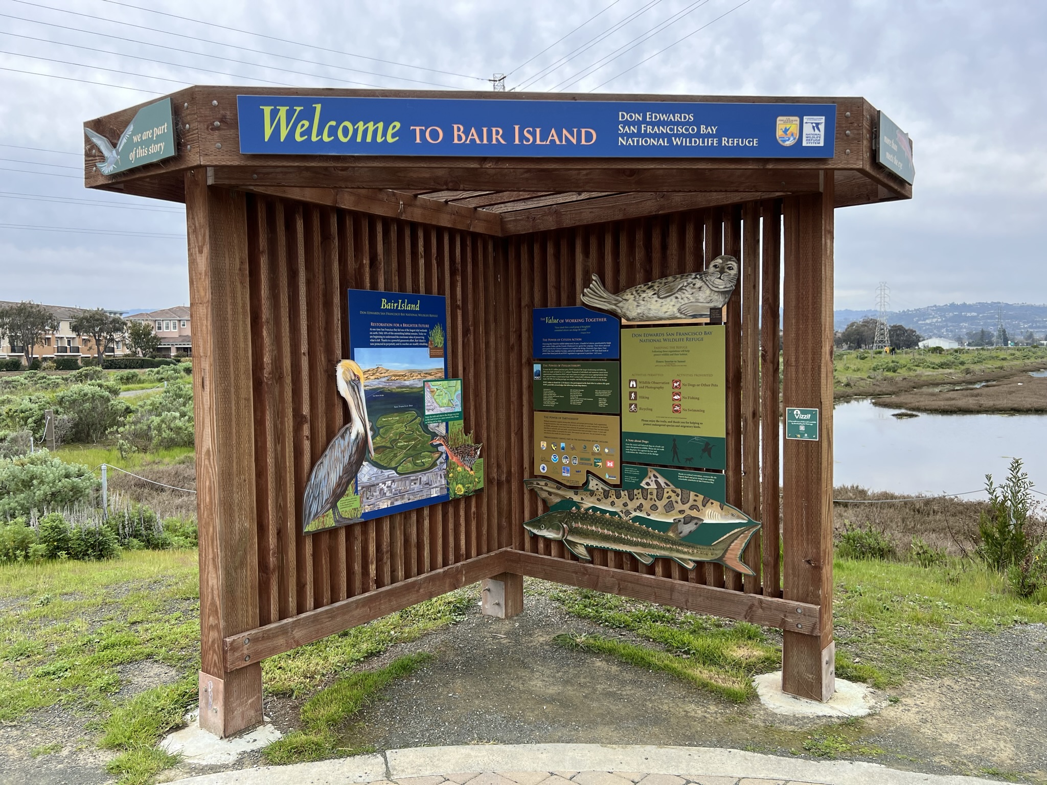 这里的物种还是很丰富的