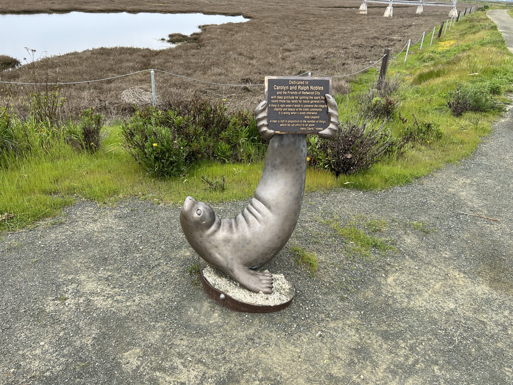 合着这里还有海豹吗？很可惜没有看到