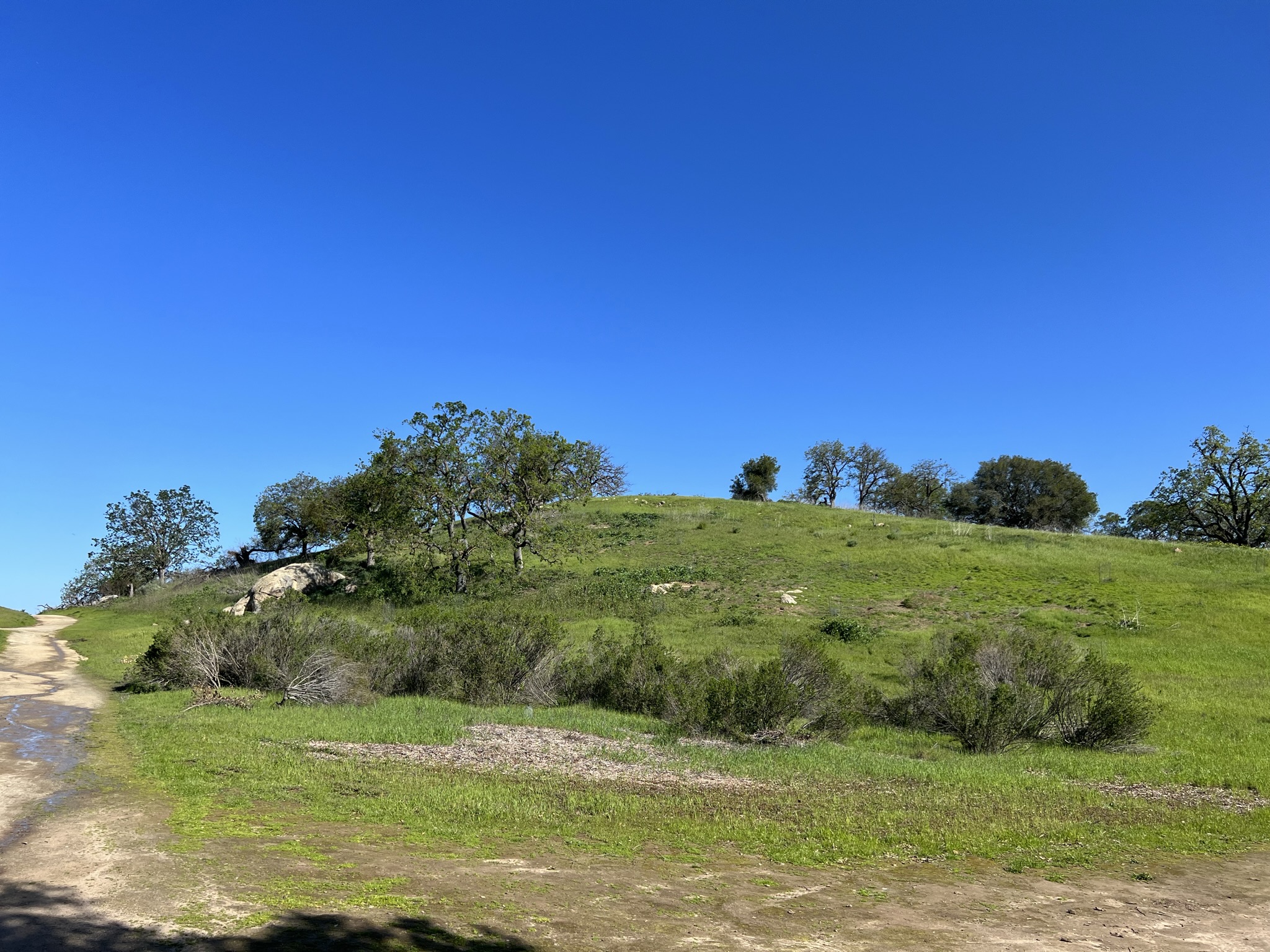 公园里有个小山可以上去