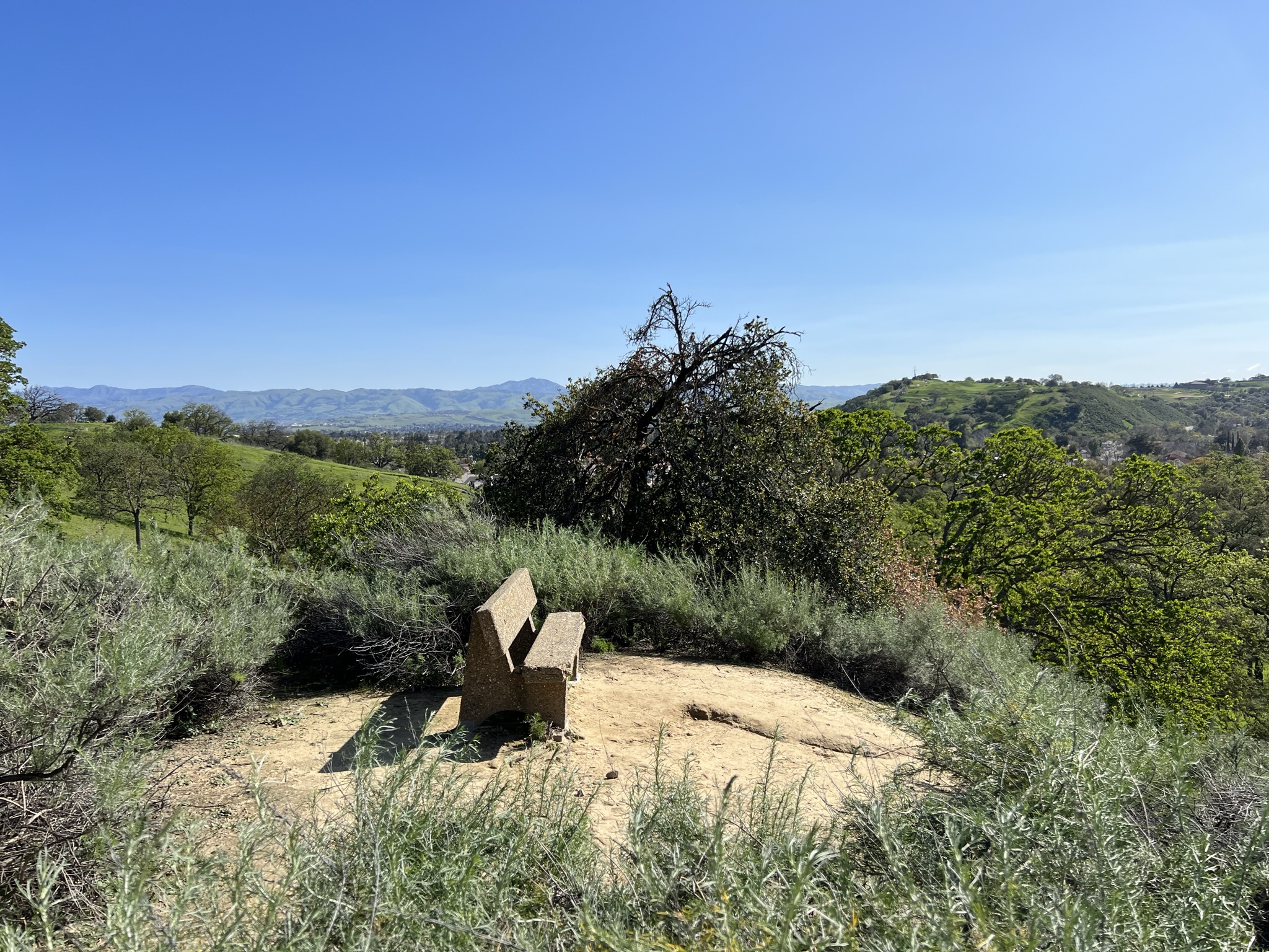 南部小山的山顶