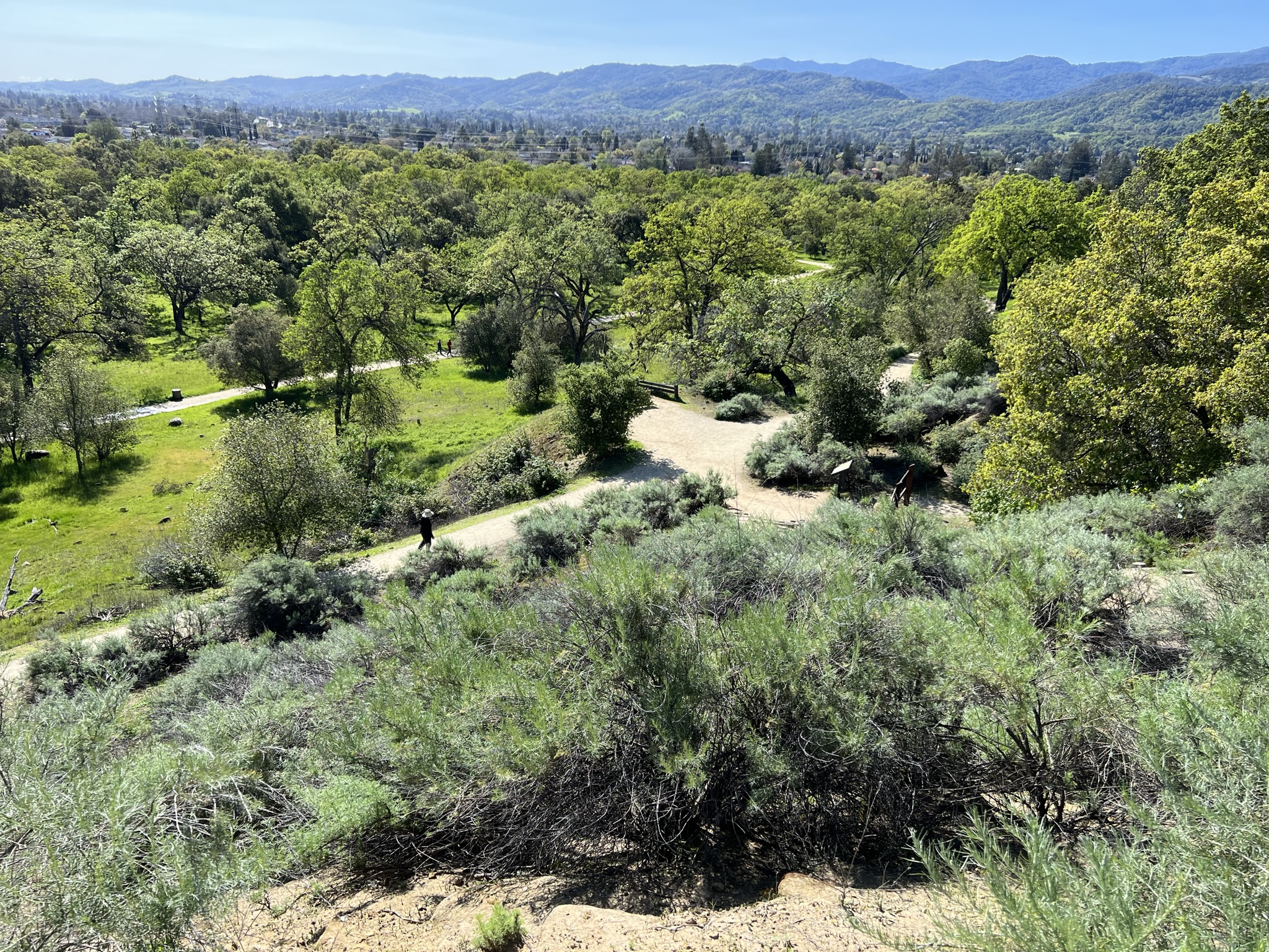 从小山顶向下望