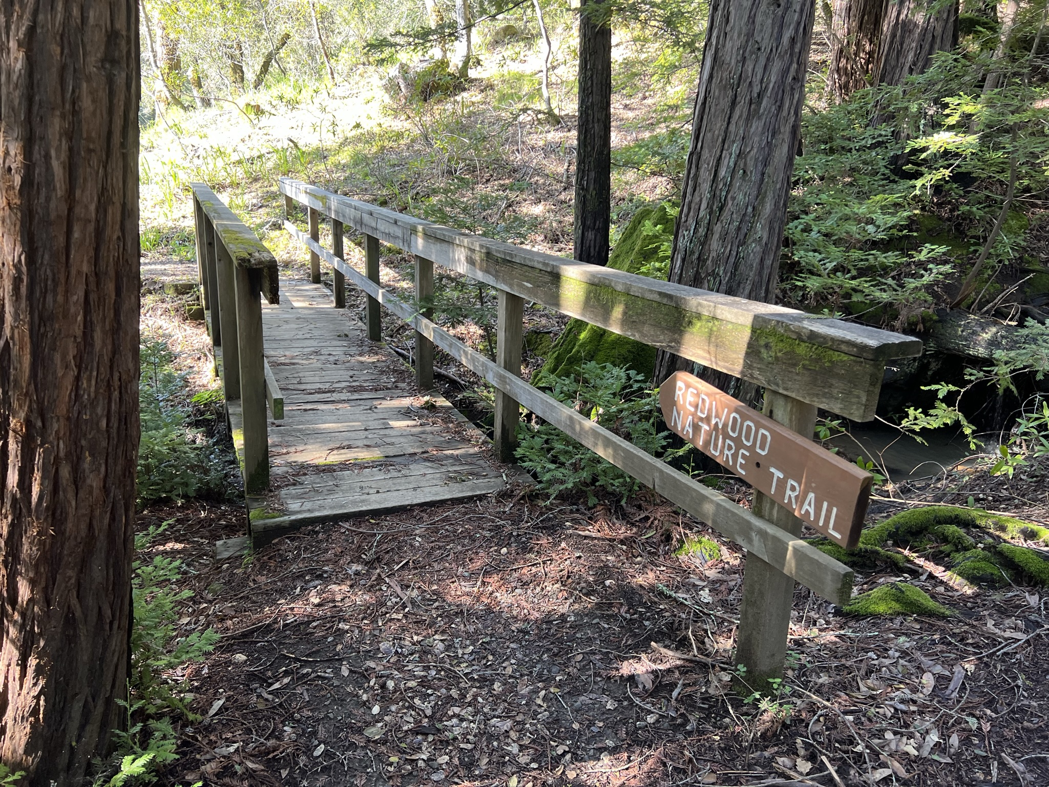 Redwood Nature Trail