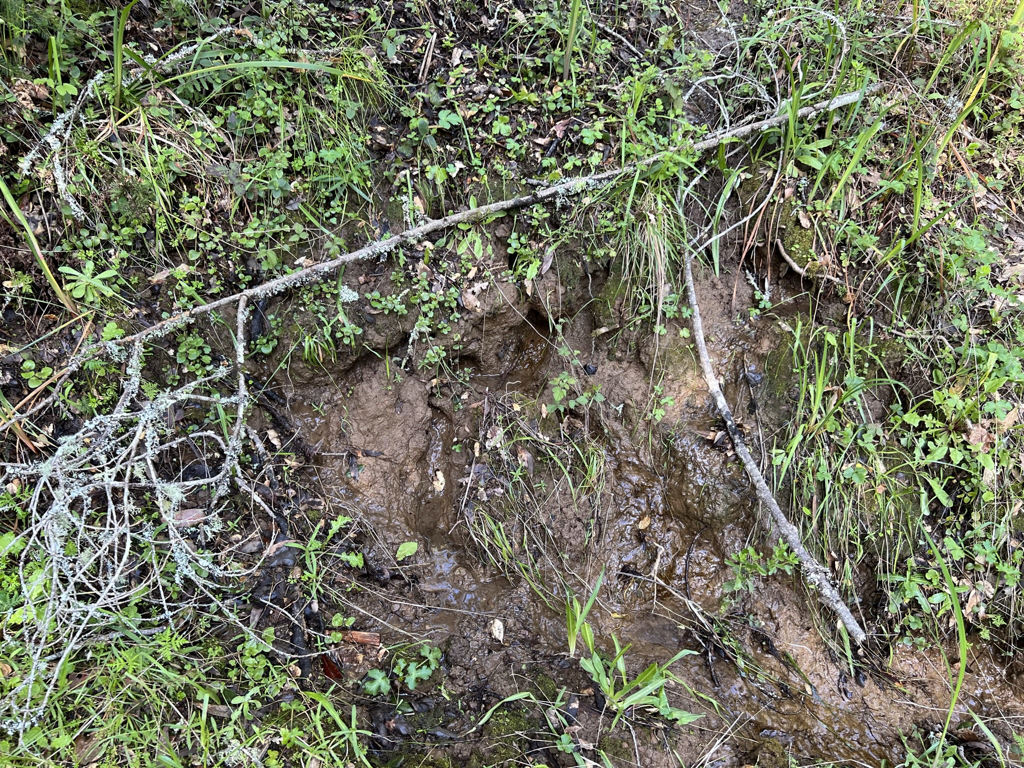 泥缝里流出了水