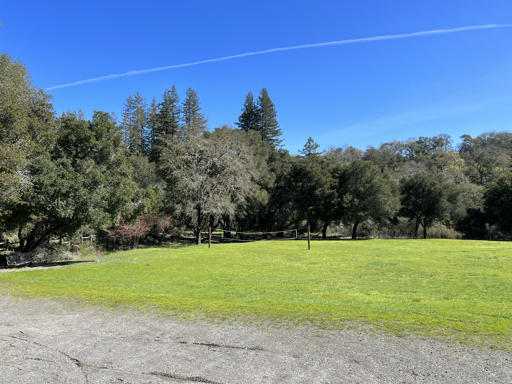 草坪上的排球场