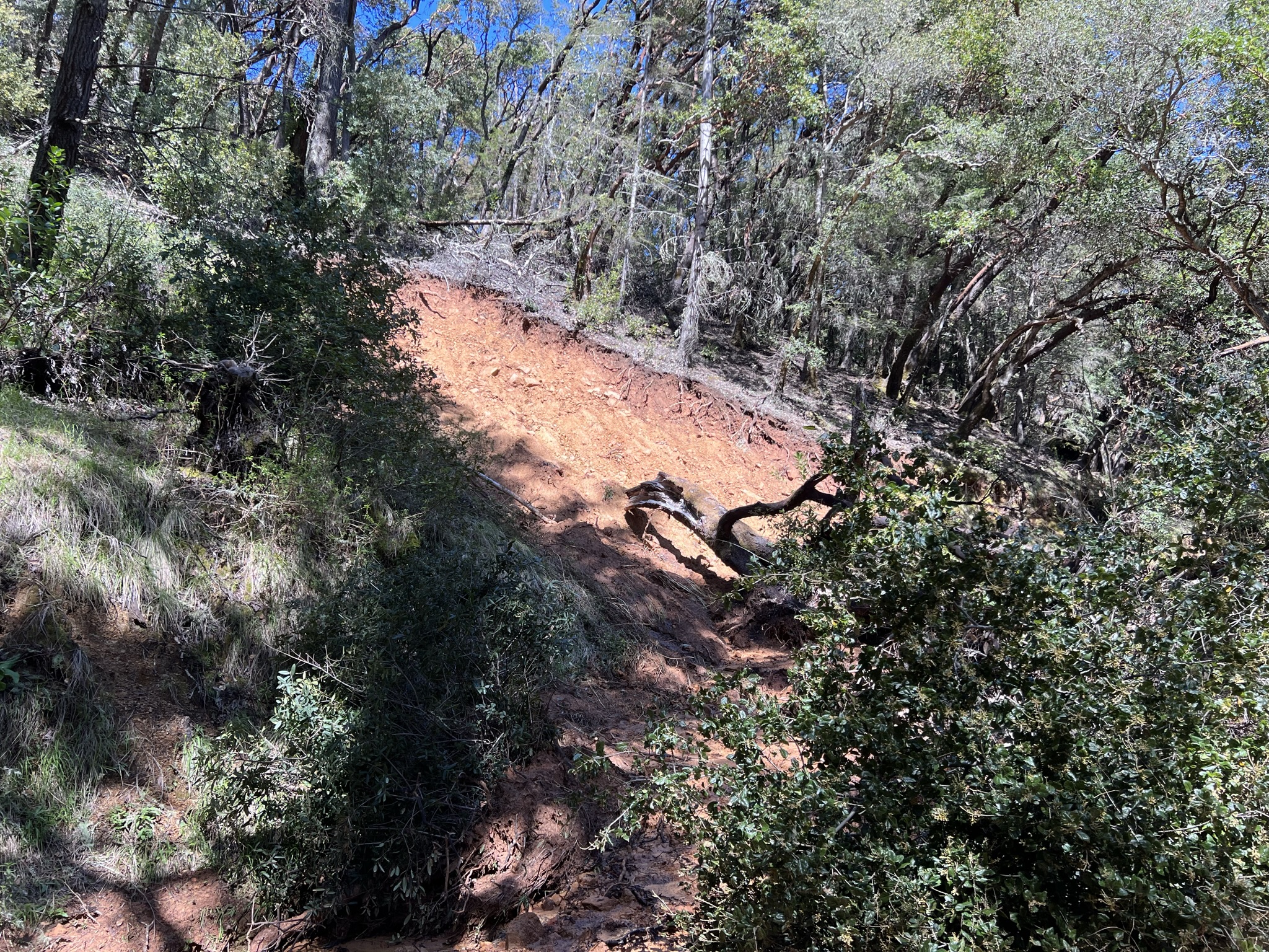 山体滑坡是有多危险