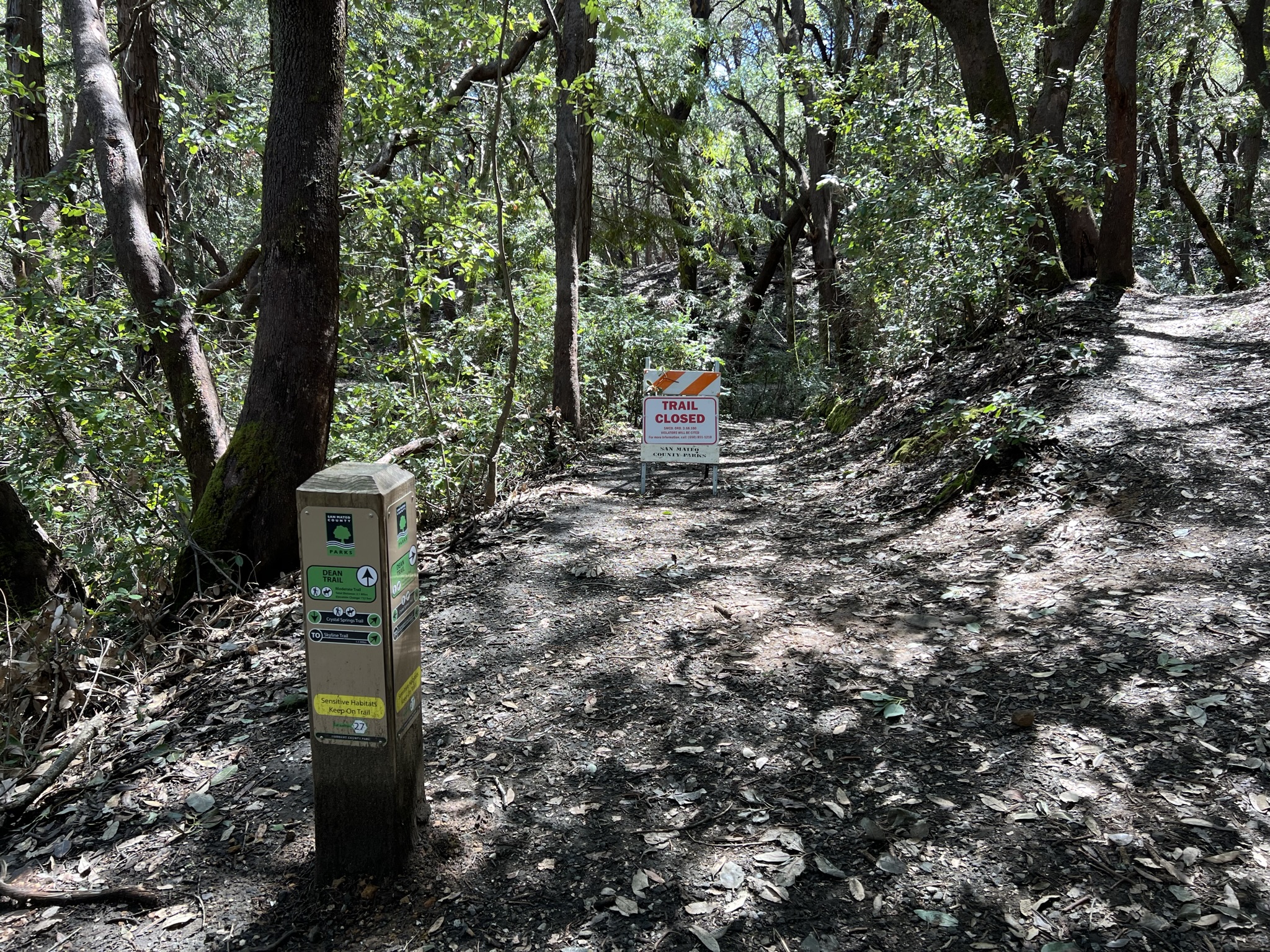 Dean Trail 关闭了