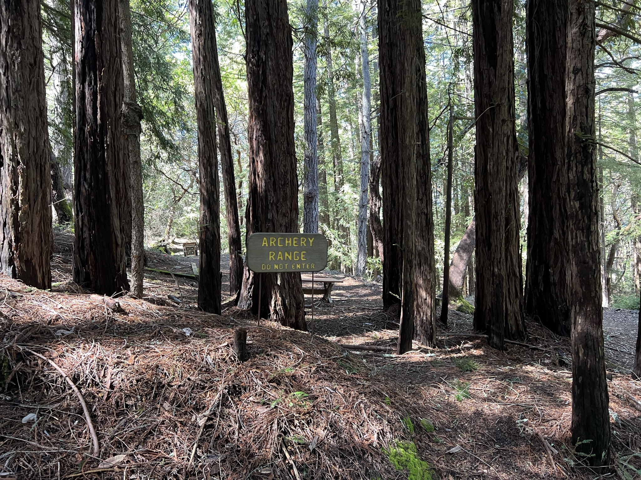 进去就成了靶子了