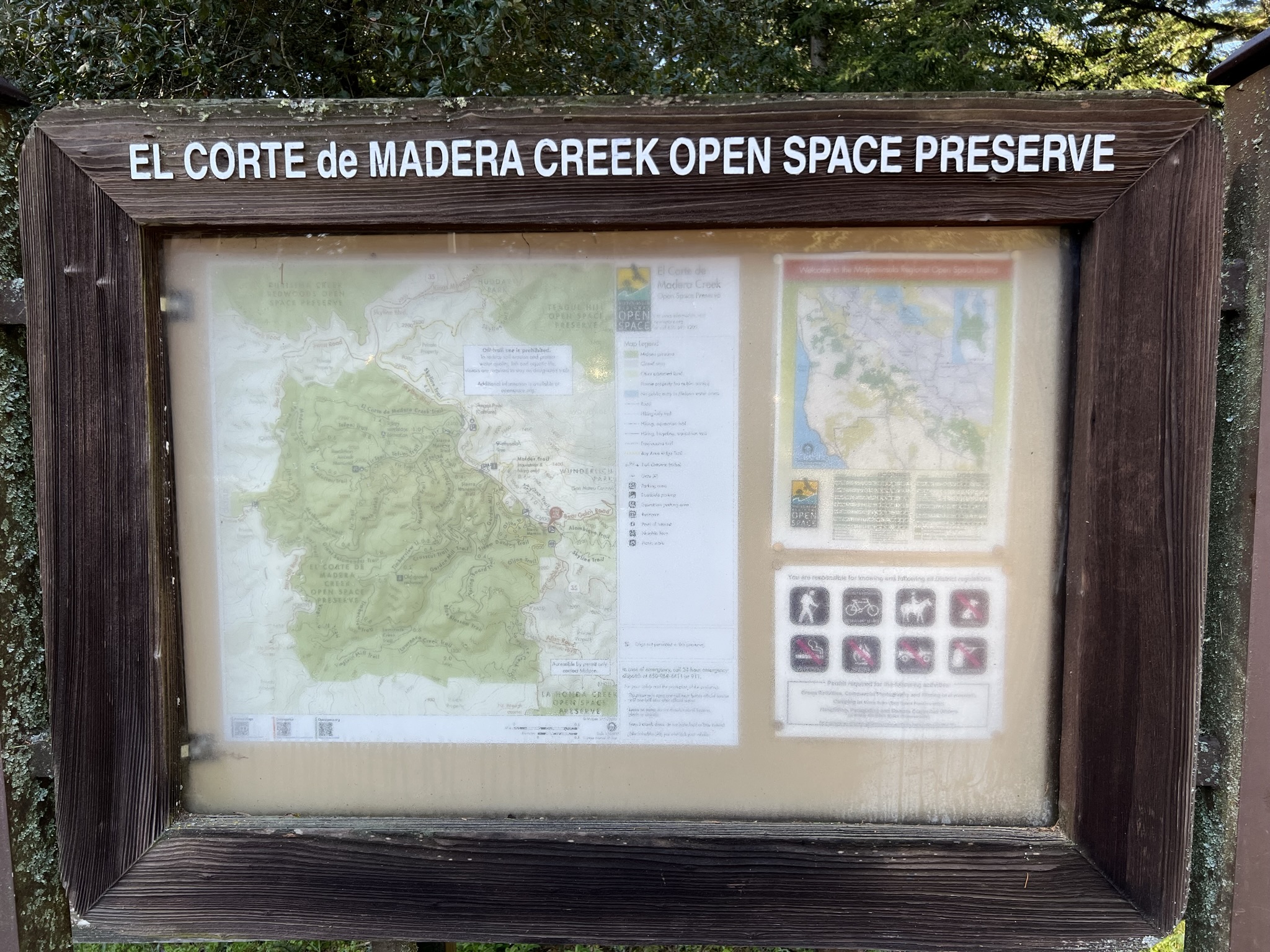 早上的山里都是雾气