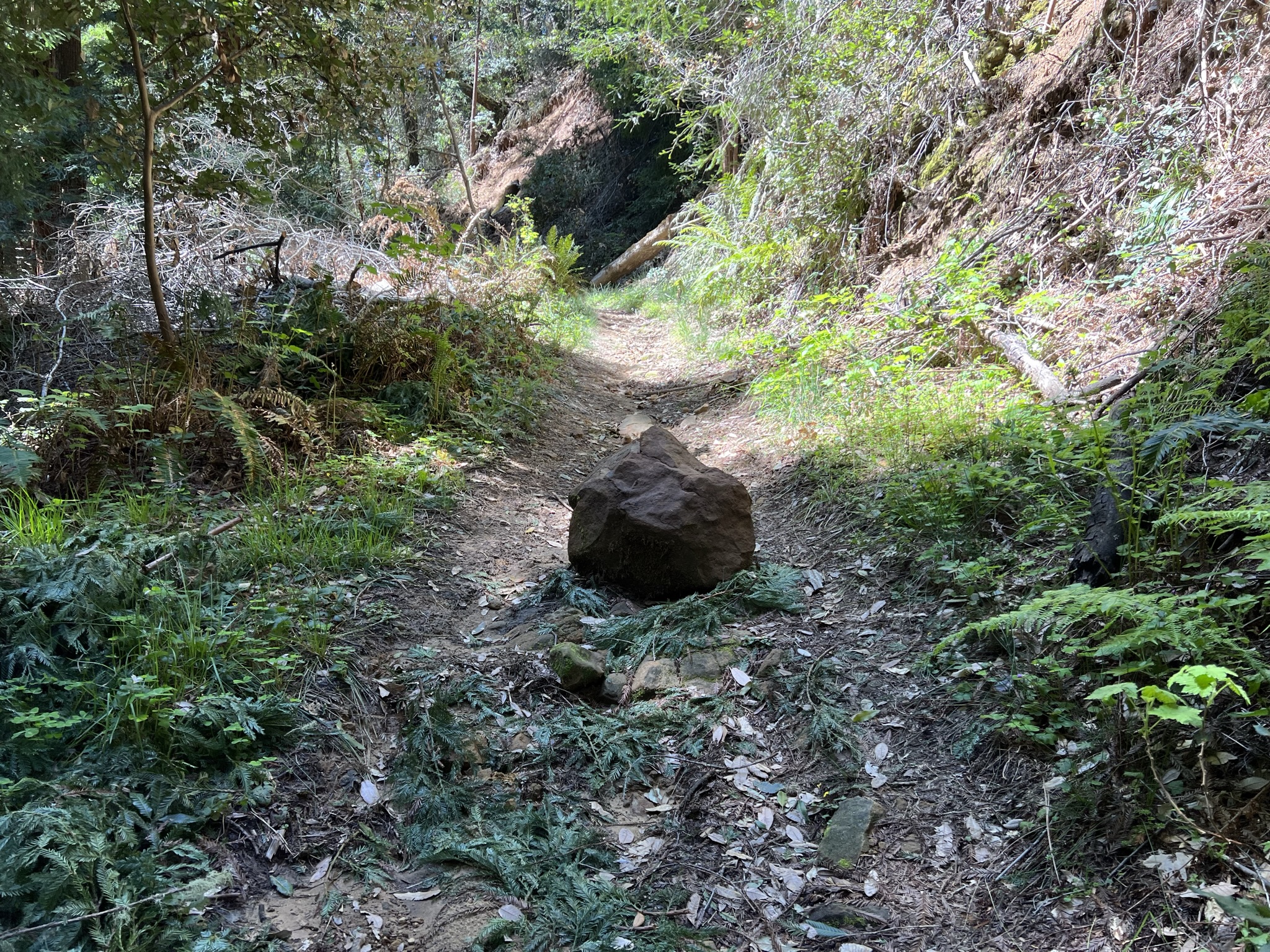 山上掉下来的石头