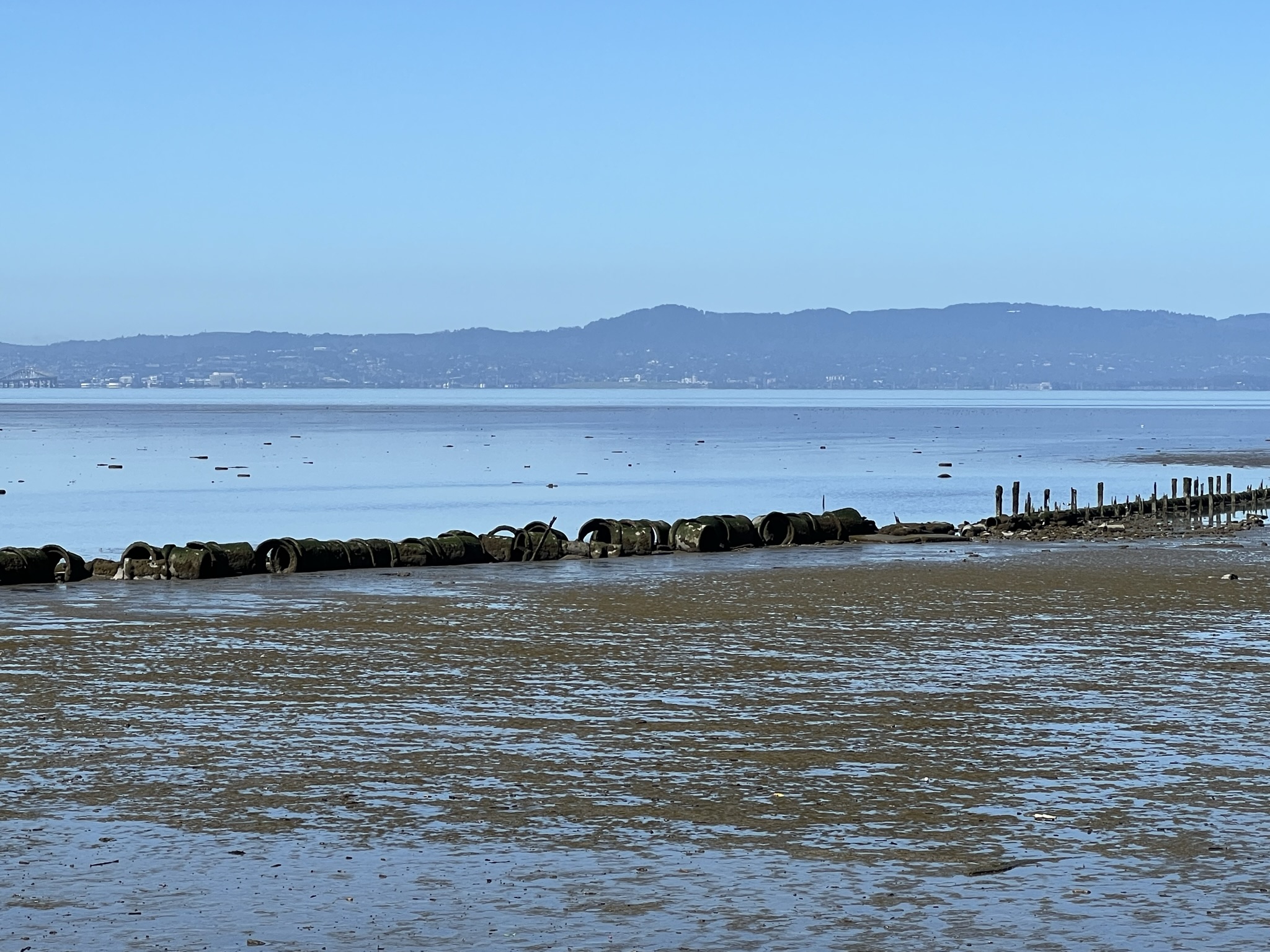 似乎是管子一样的东西