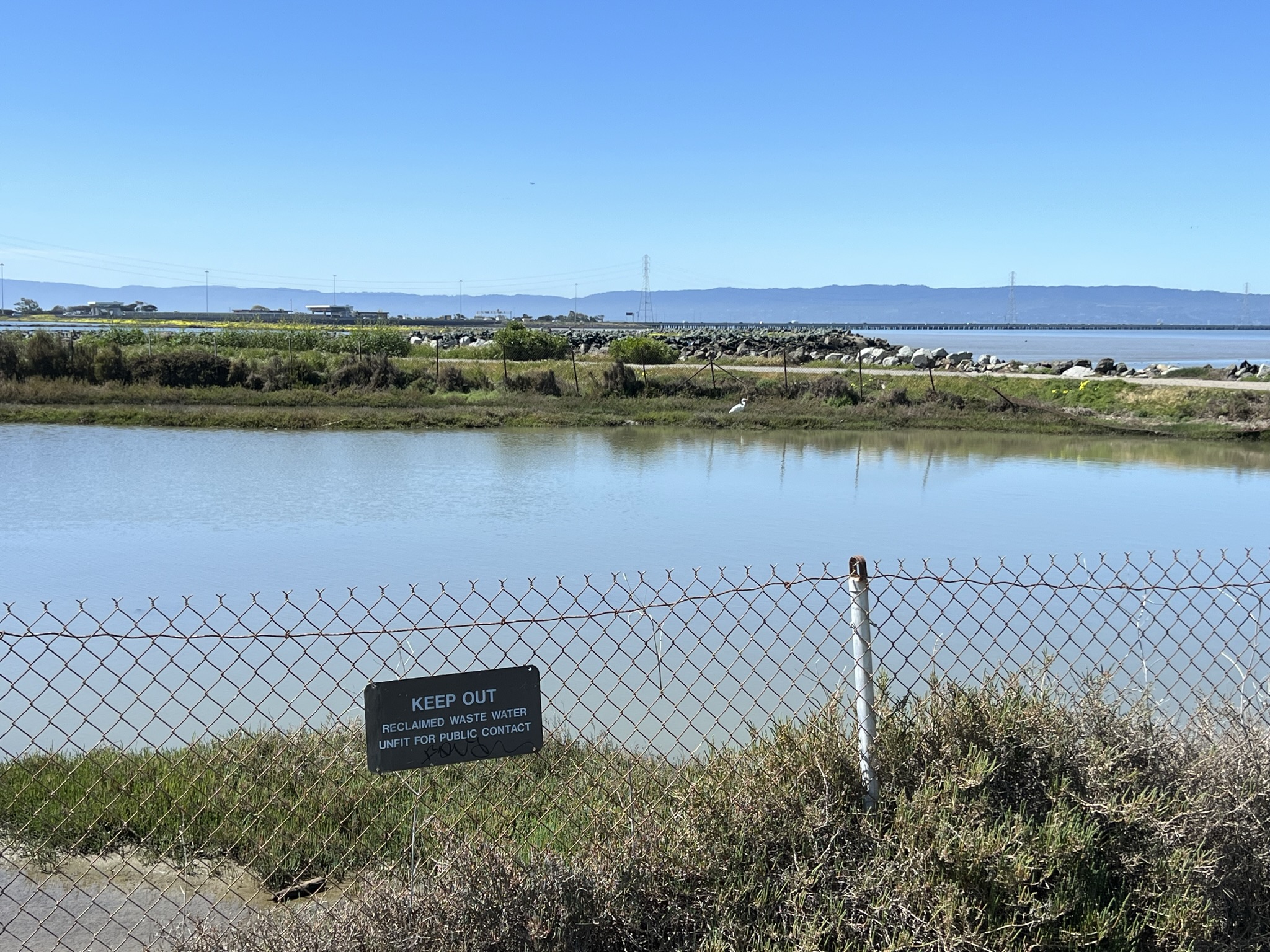 这是一个人工池塘