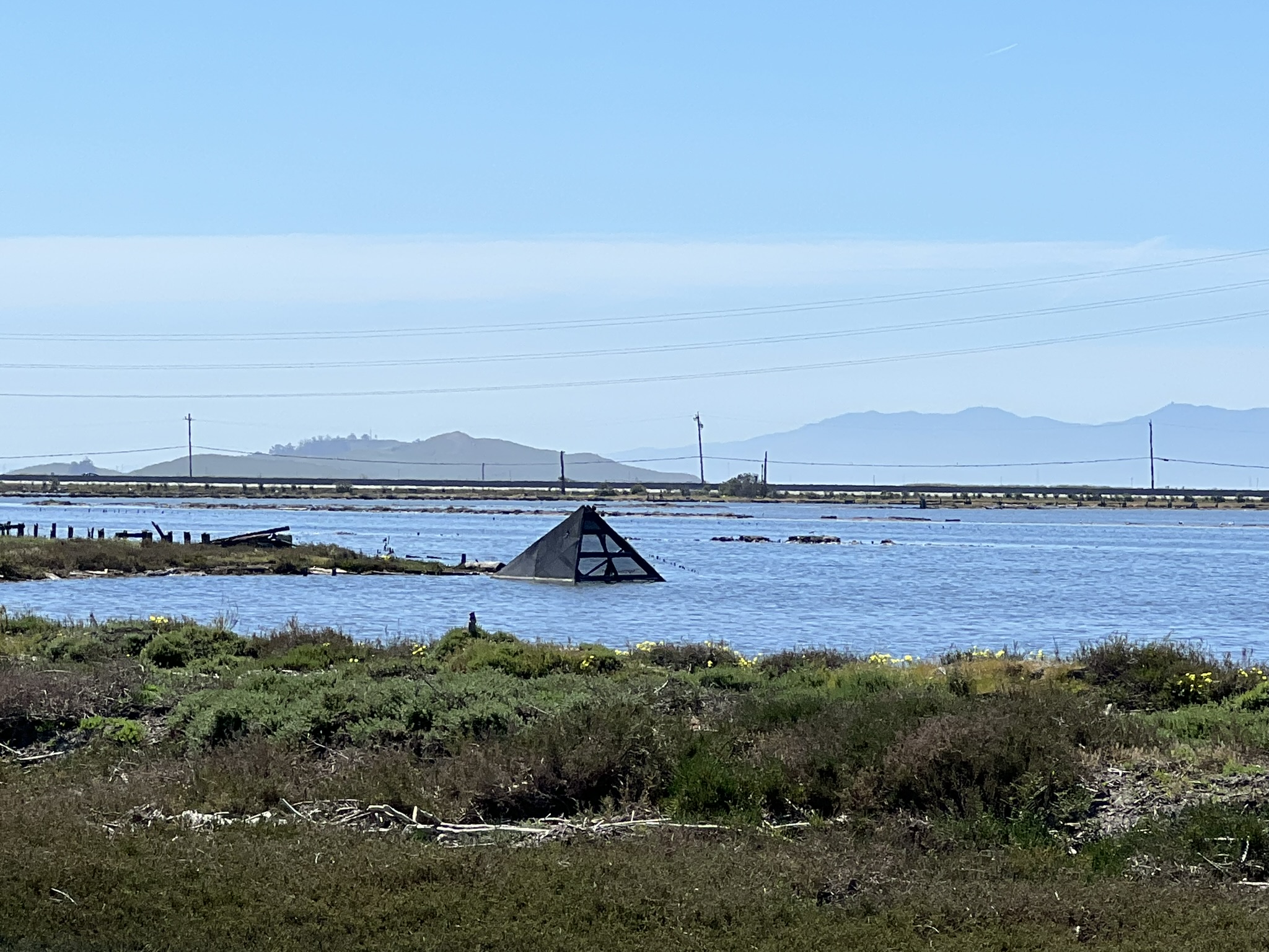 这个是抓鱼用的吗？