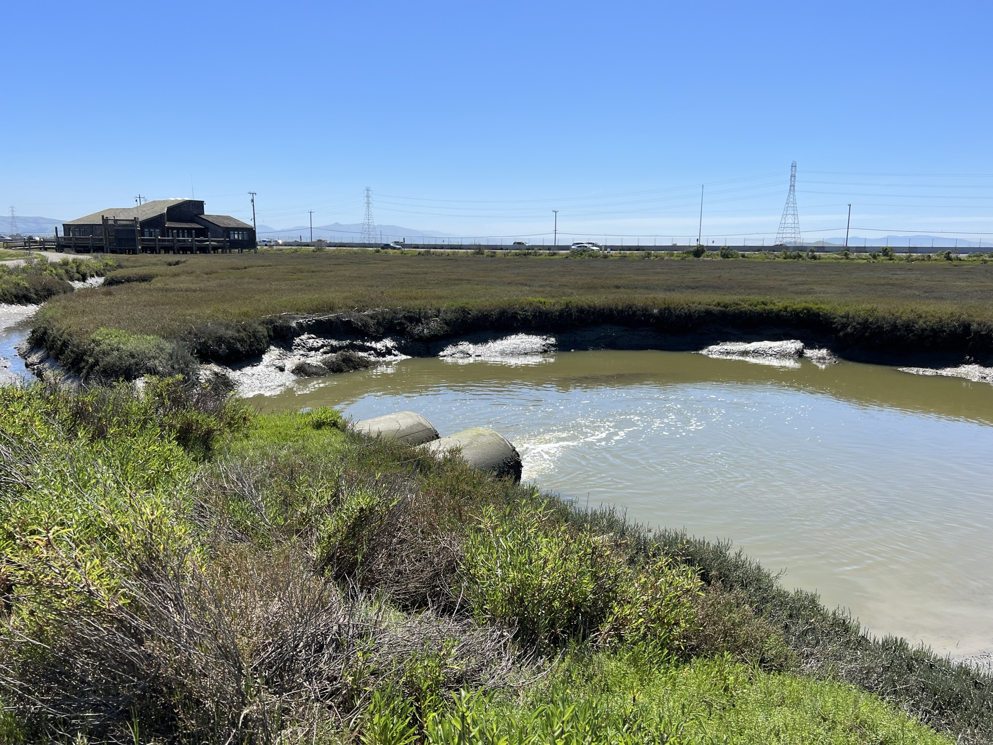 处理好的废水排放到海里