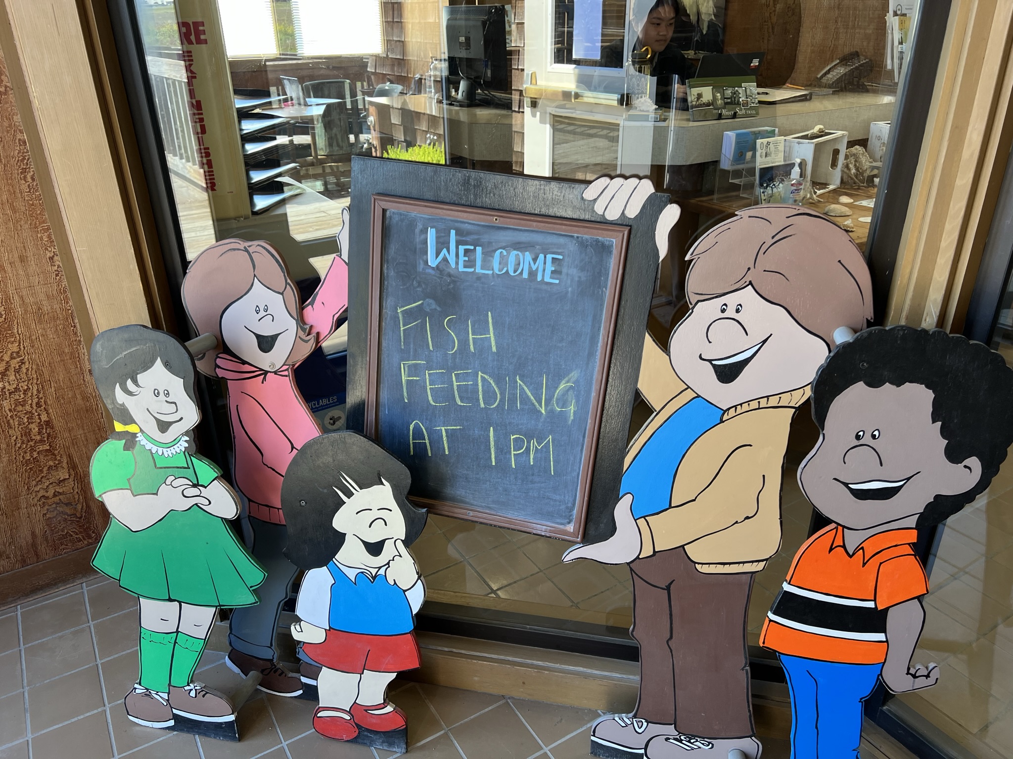 下午一点喂鱼，看不了了