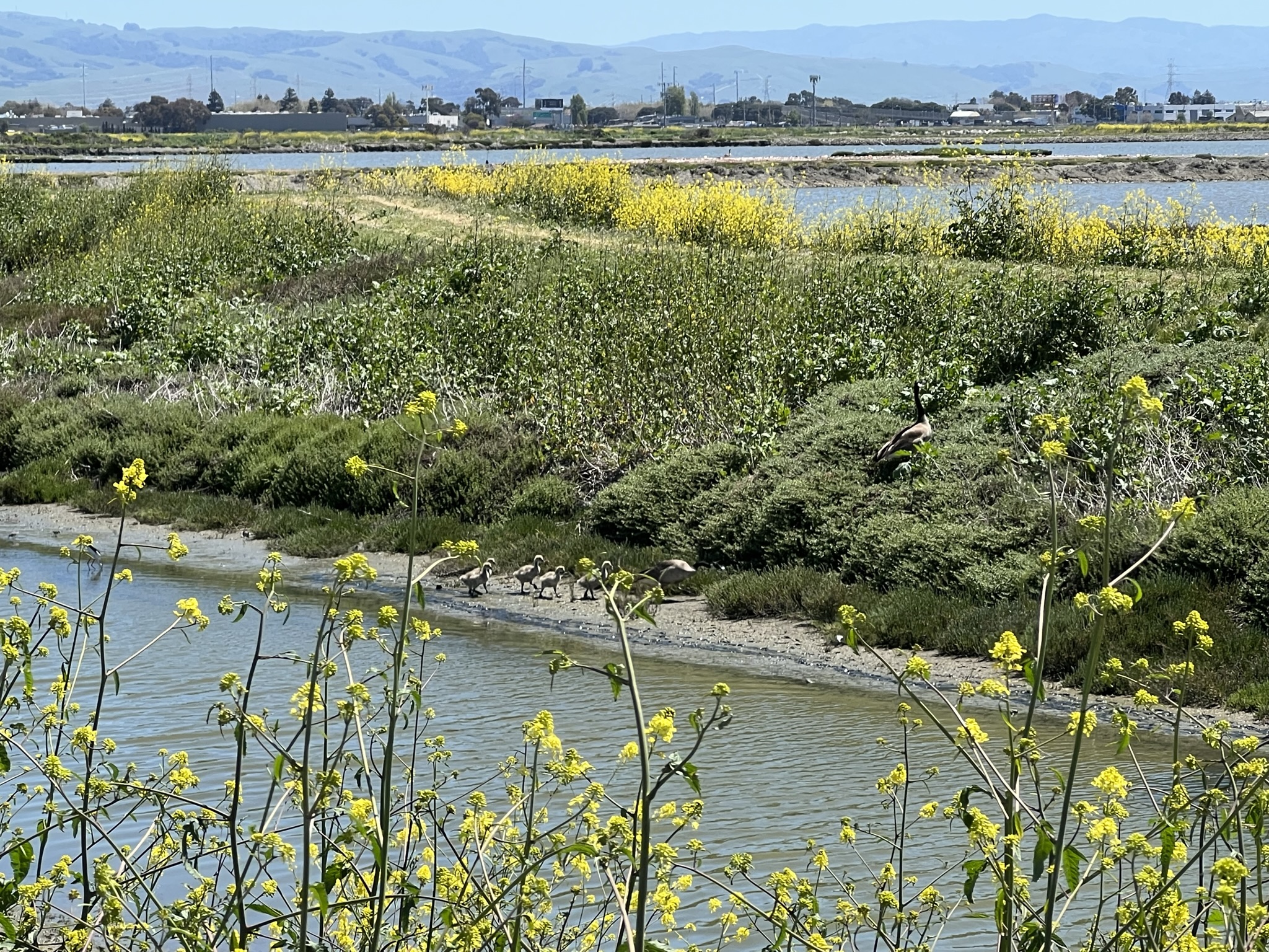 带着孩子们上坡