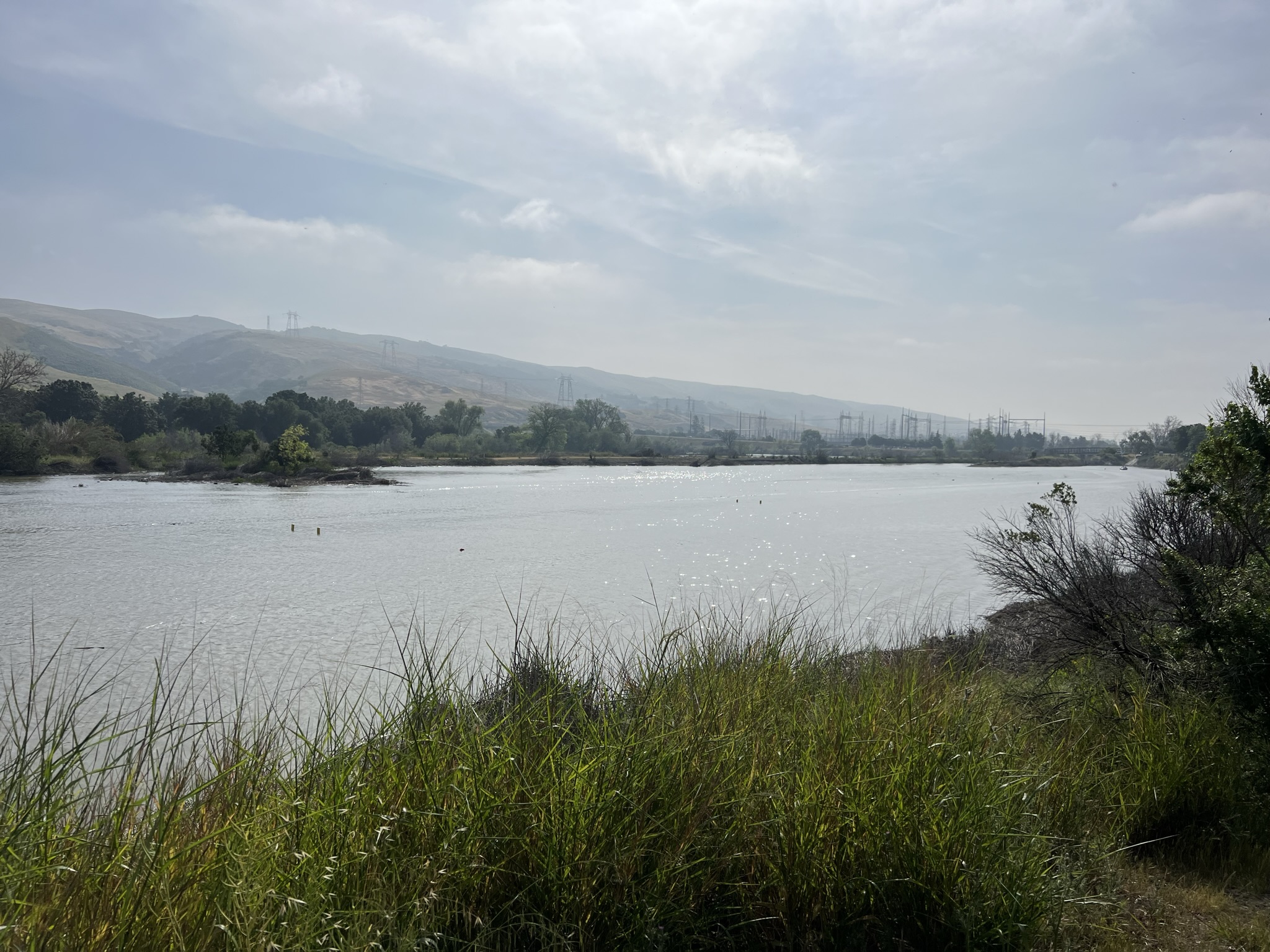 旁边的 Coyote Creek