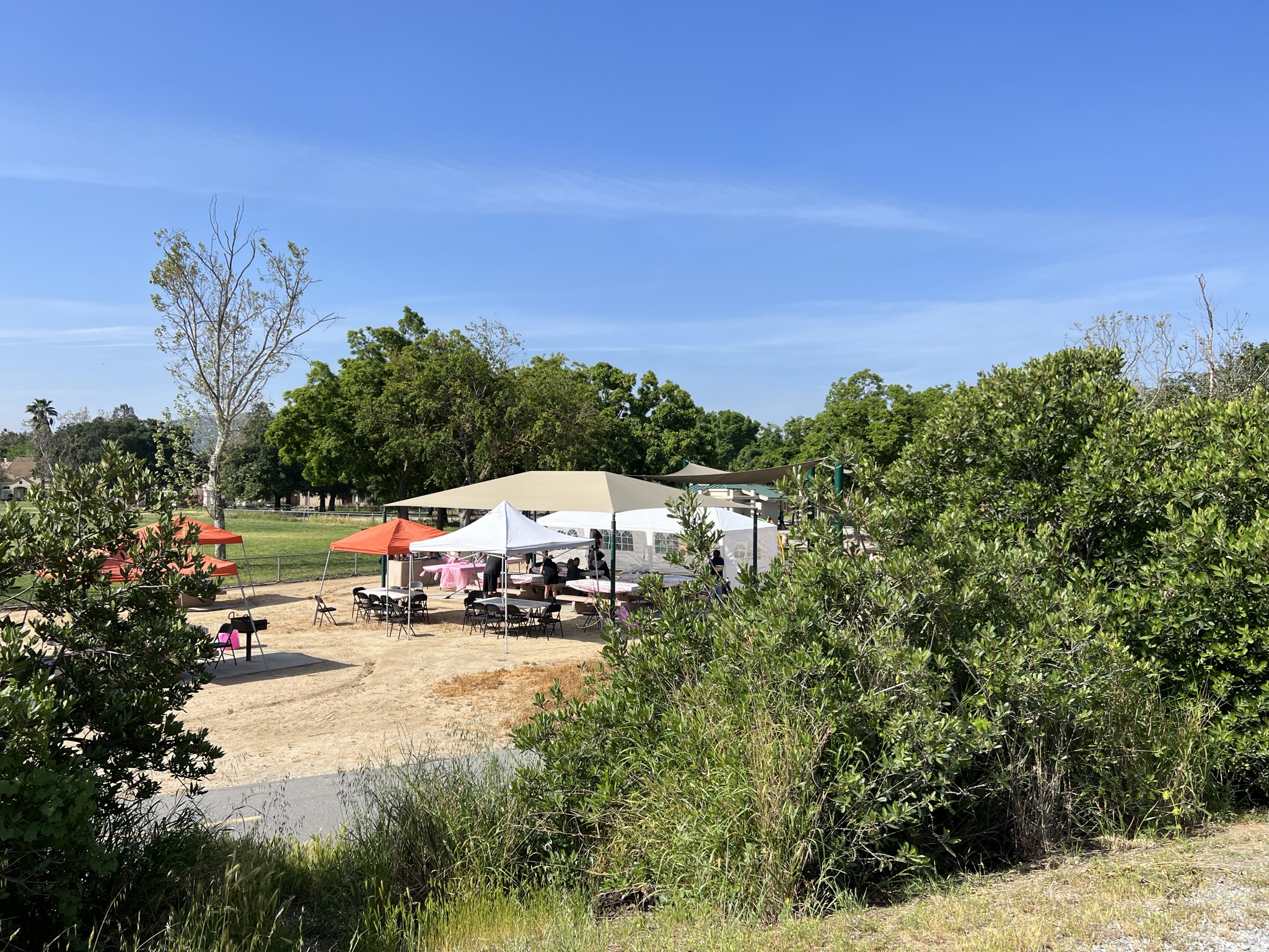 老外的结婚很简单，就是在公园摆个简单的野餐酒席