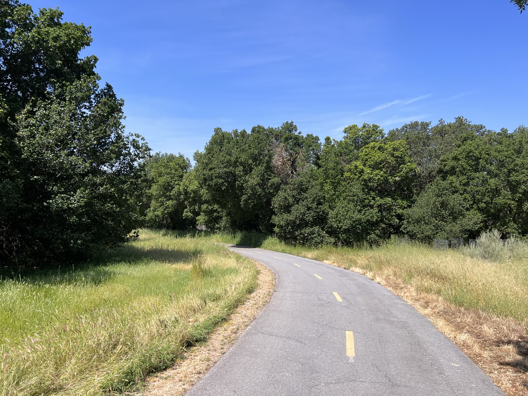 都是铺好的步道