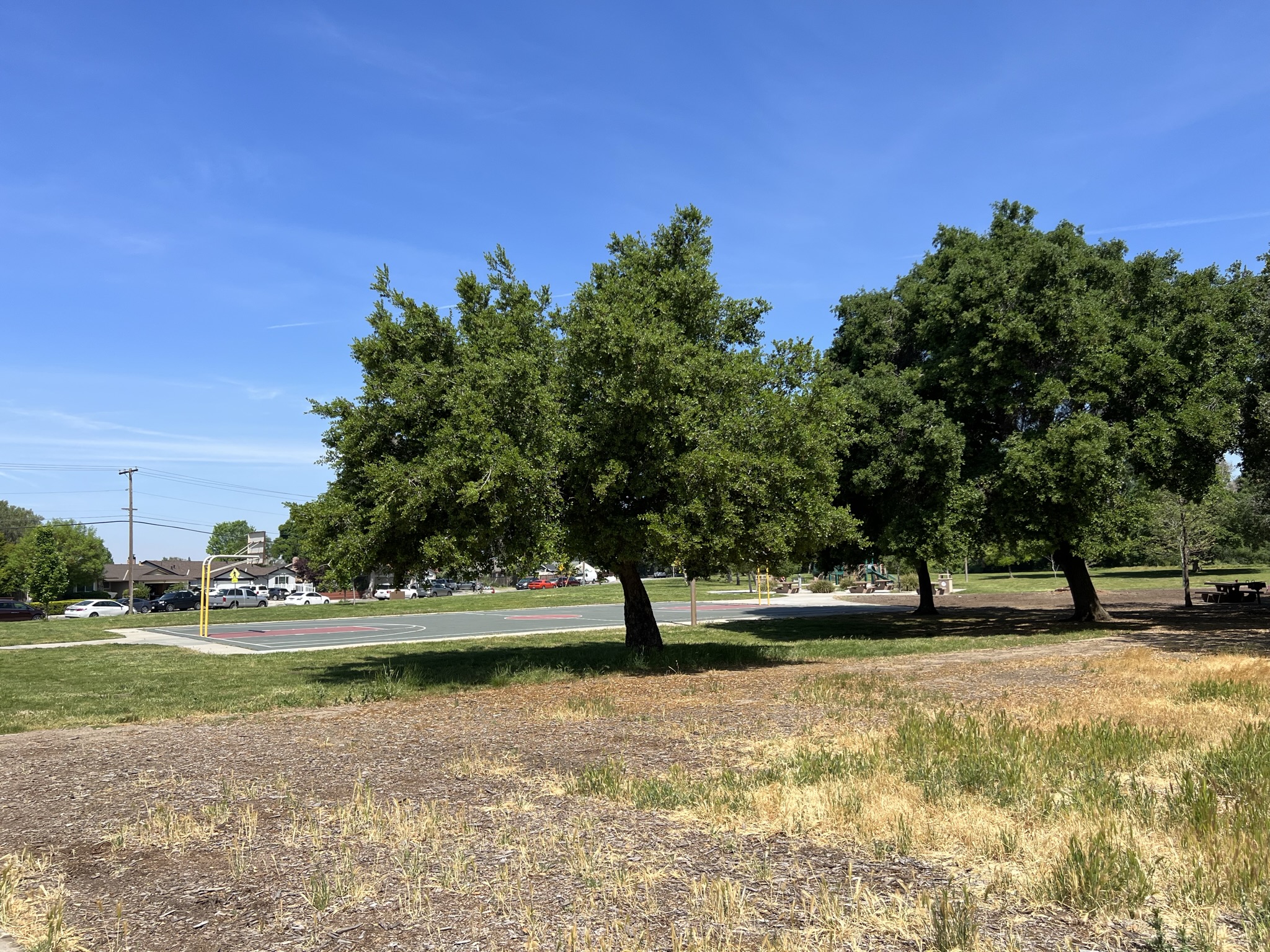 Shady Oaks Park 里的篮球场