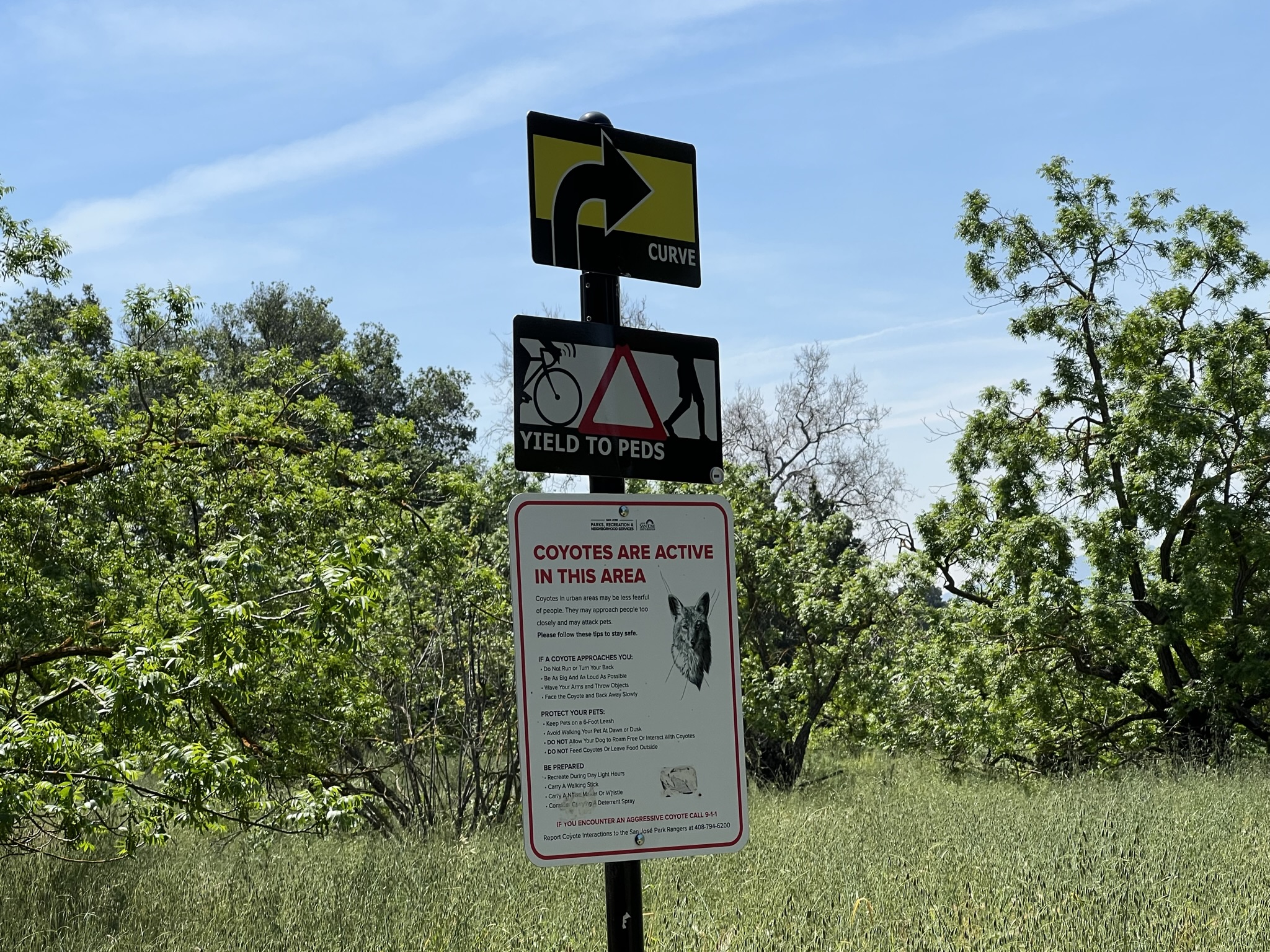 Coyote Creek 自然少不了 Coyote