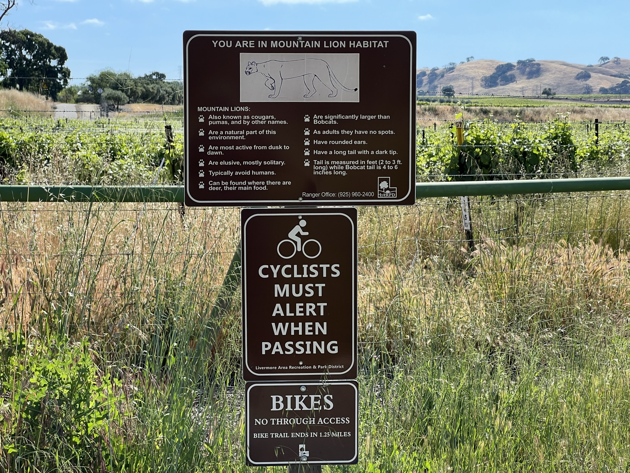 这里有山狮居住