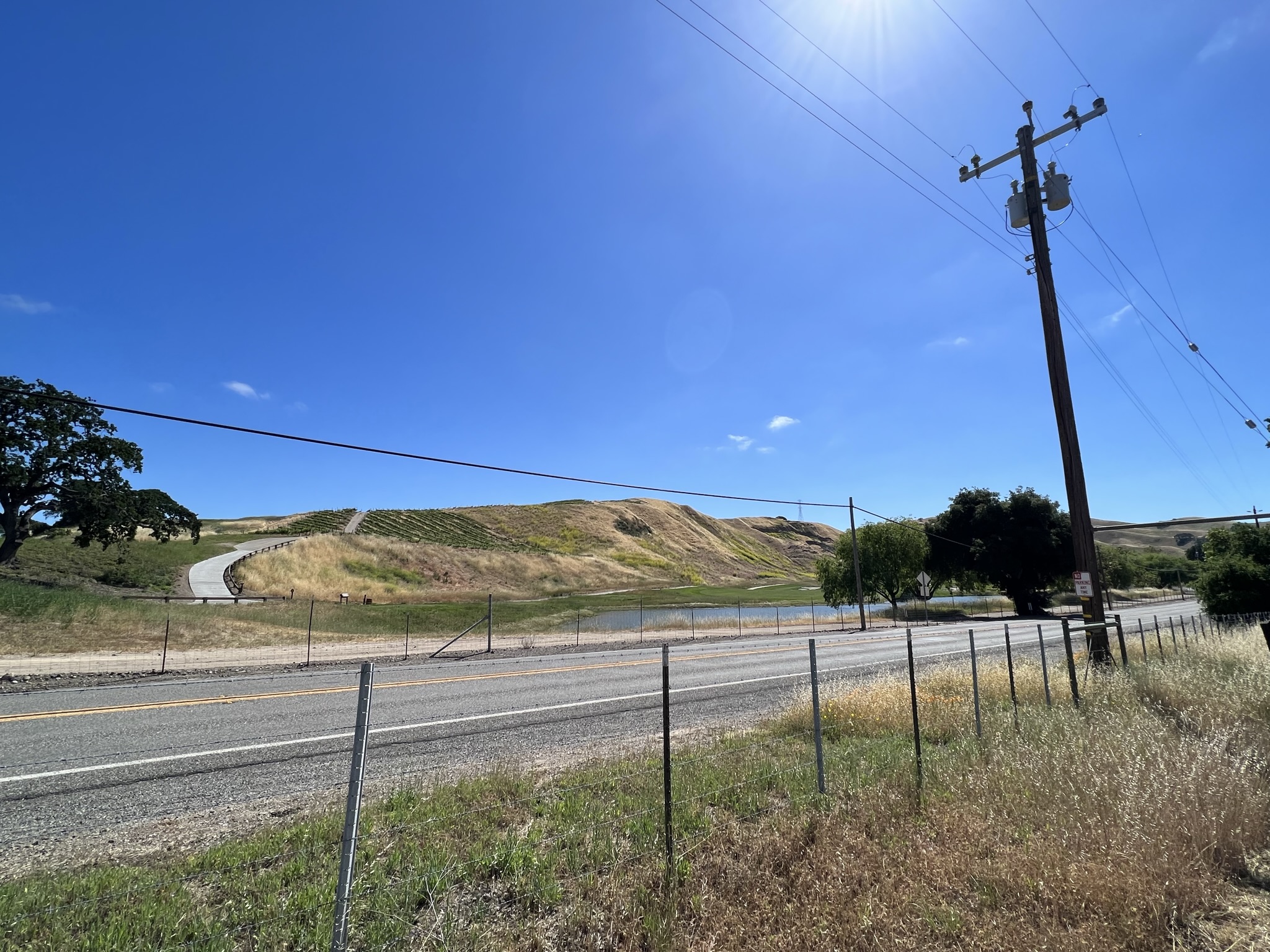 马路对面的池塘和葡萄园