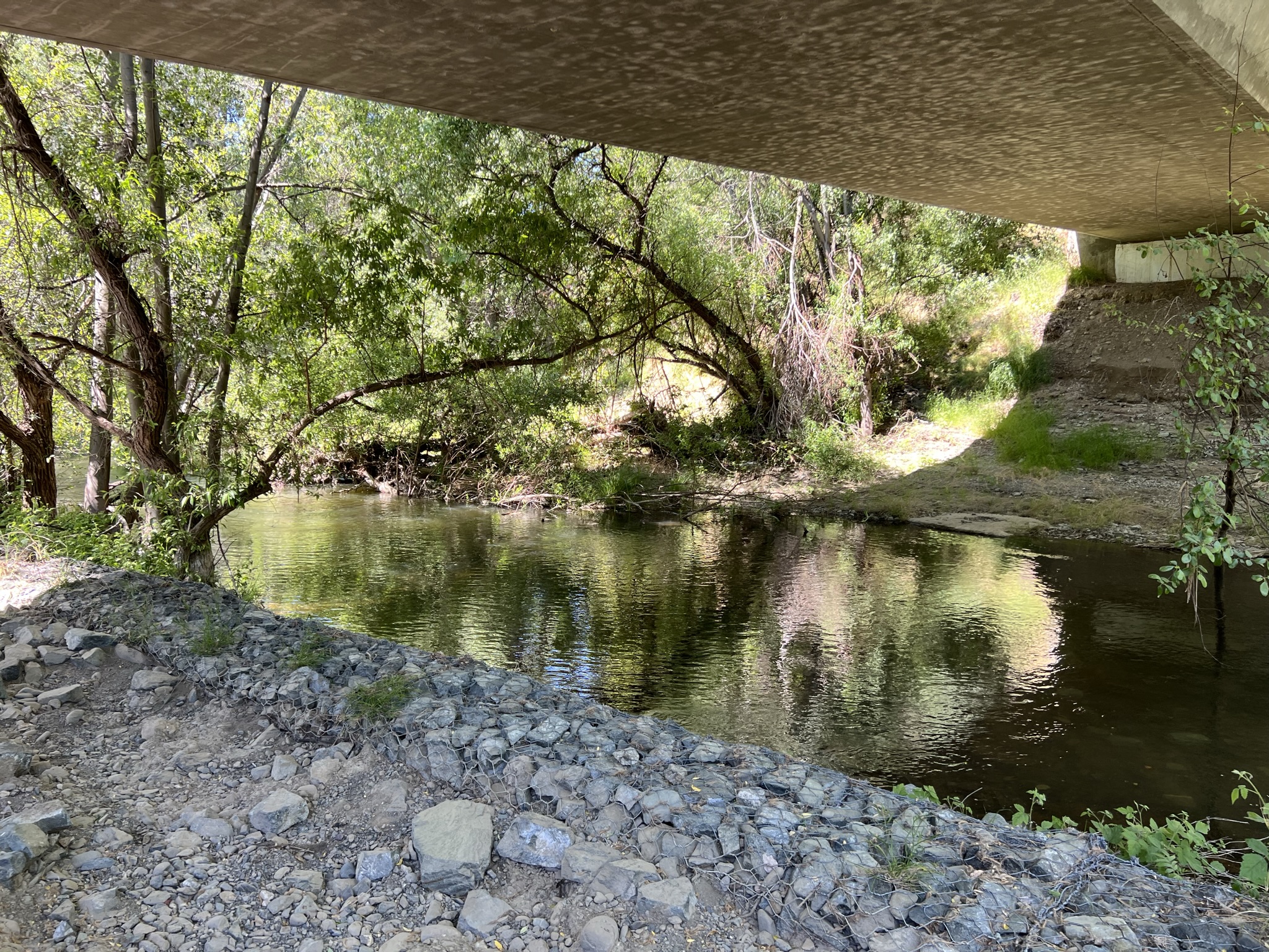 大桥底下的河水