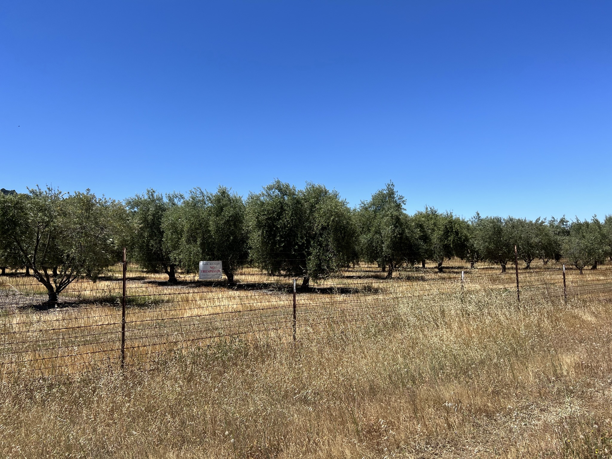 公园旁边是私人地方