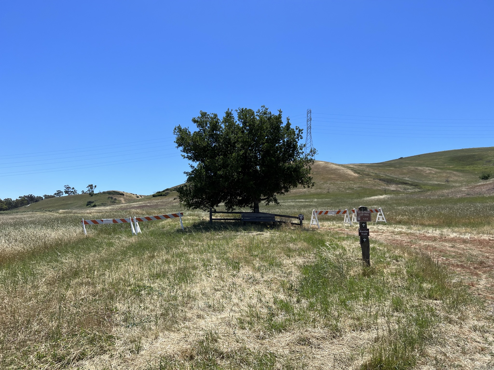 一个山包被封闭了